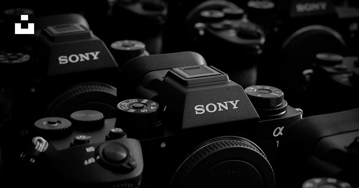 Sony Camera Visual Many black sony cameras are piled together. photo – Free Technology ...
