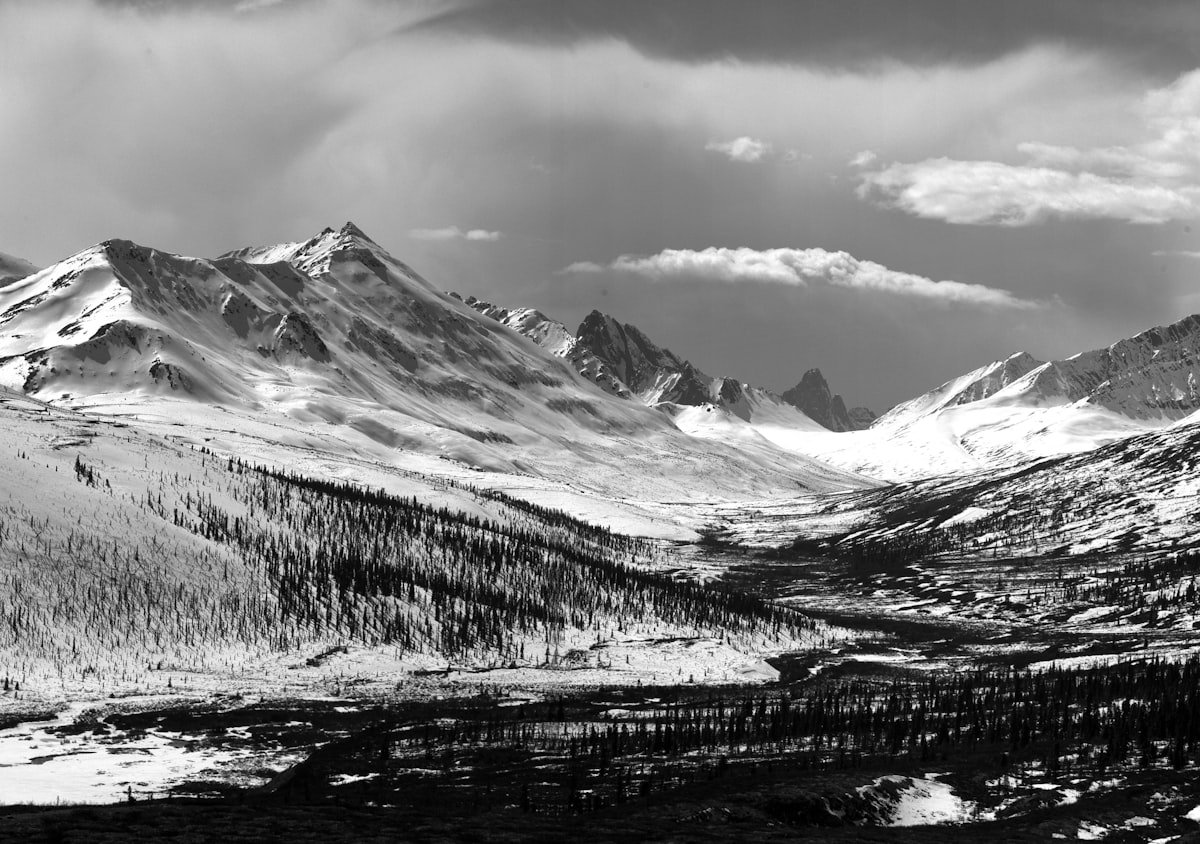 Colony Construction Yukon