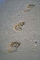 Footprints in wet sand leading away