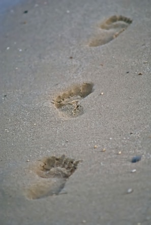 Footprints in wet sand leading away