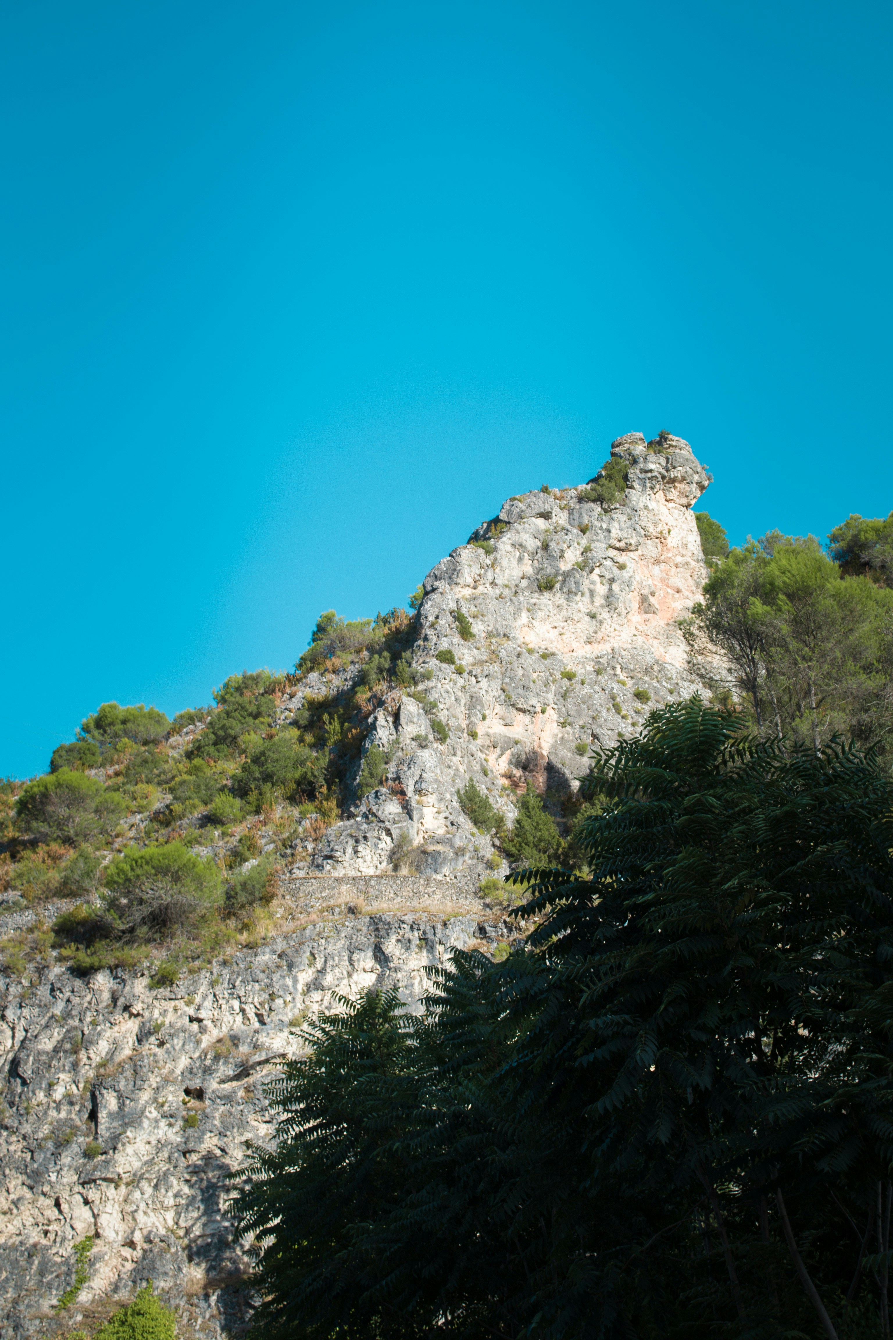 Photo by diseniatica