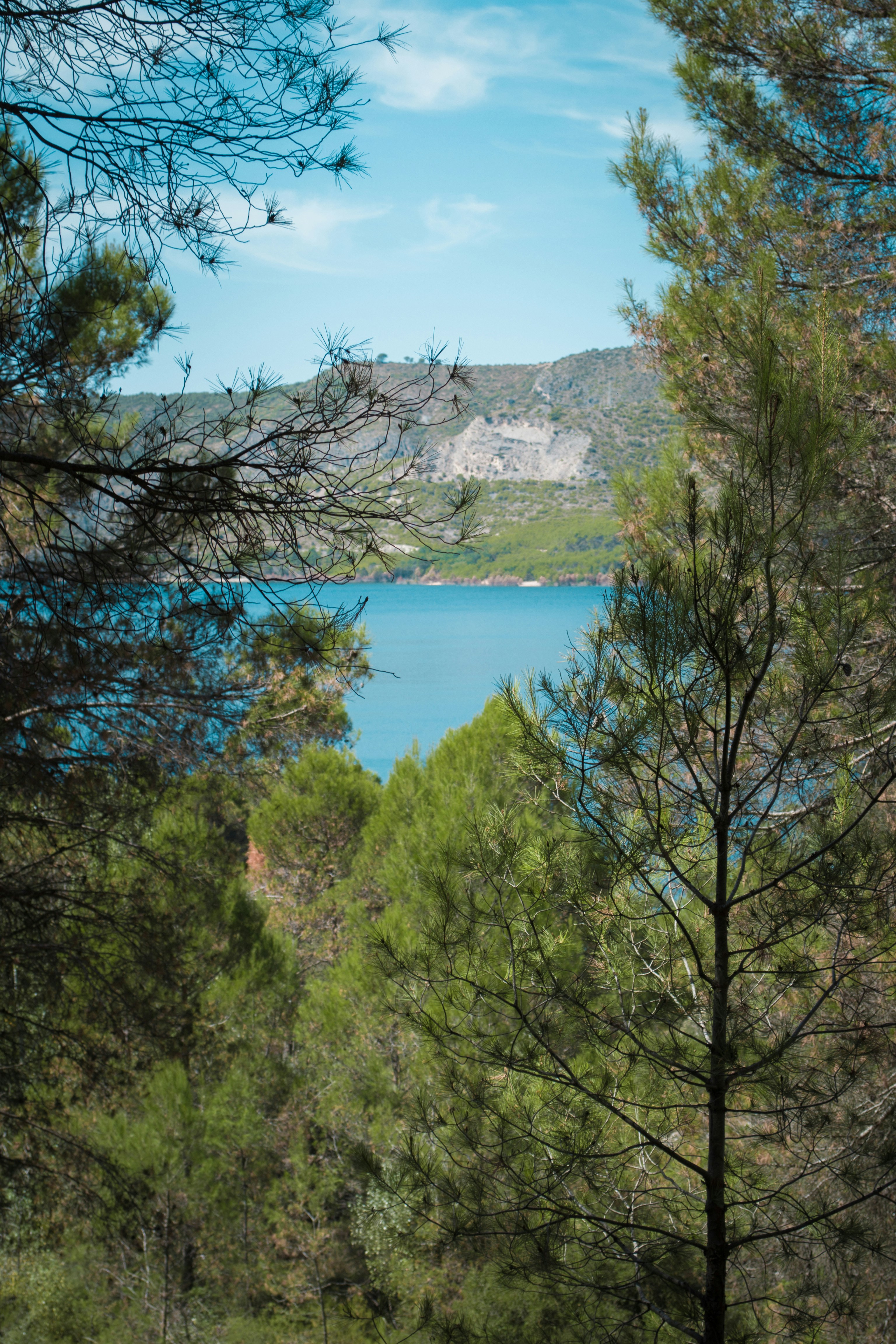 Photo by diseniatica