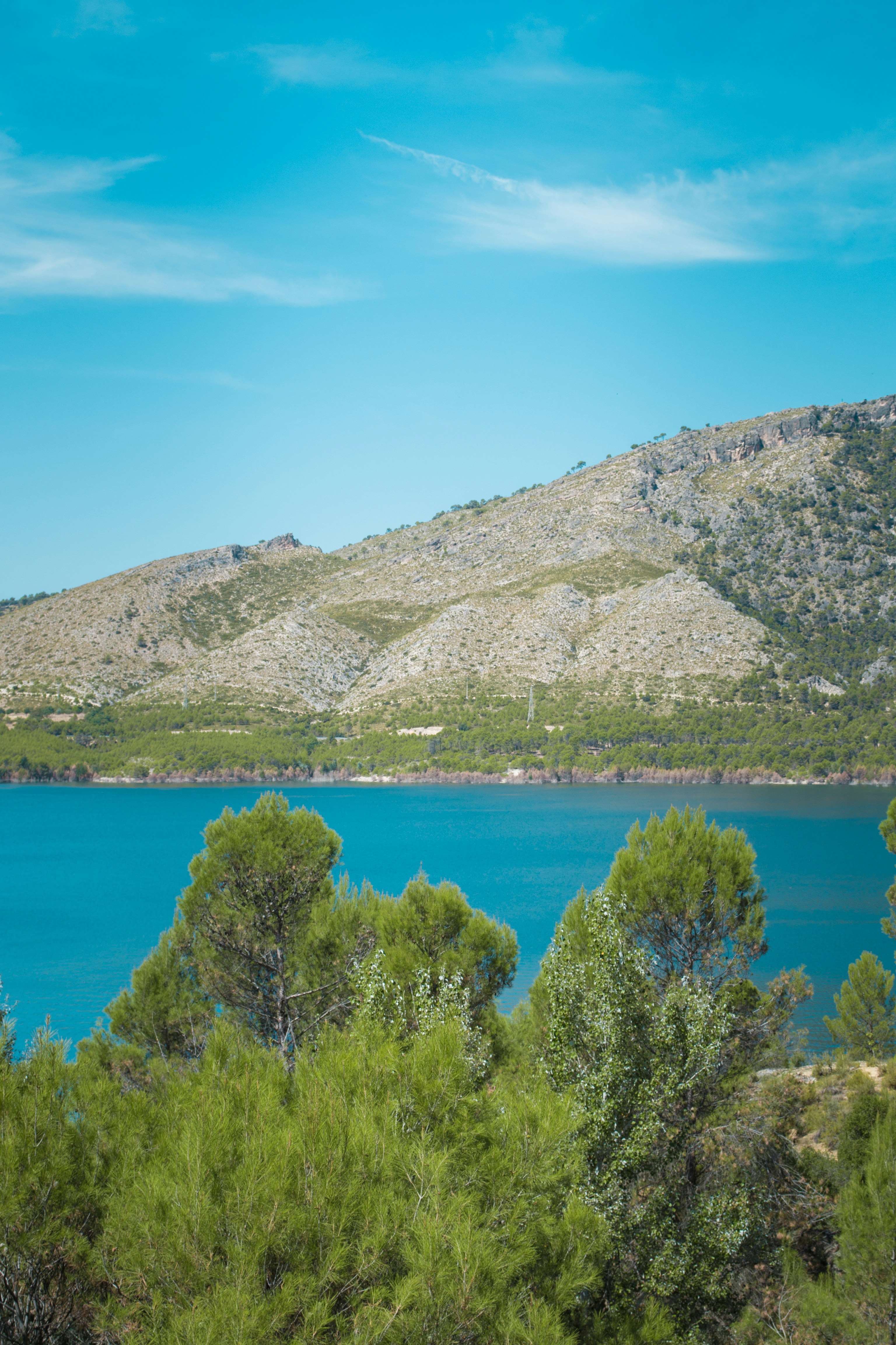 Photo by diseniatica