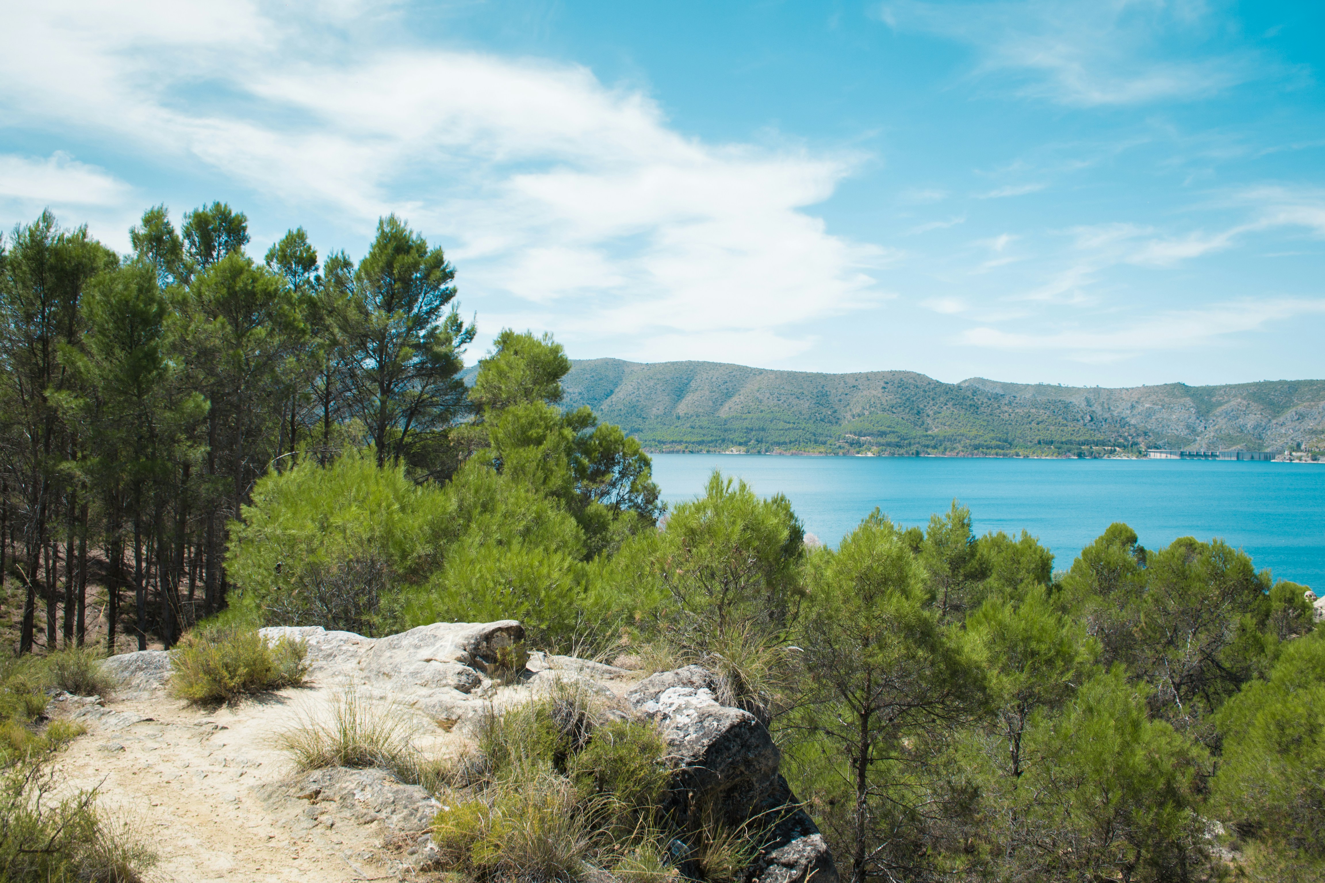 Photo by diseniatica