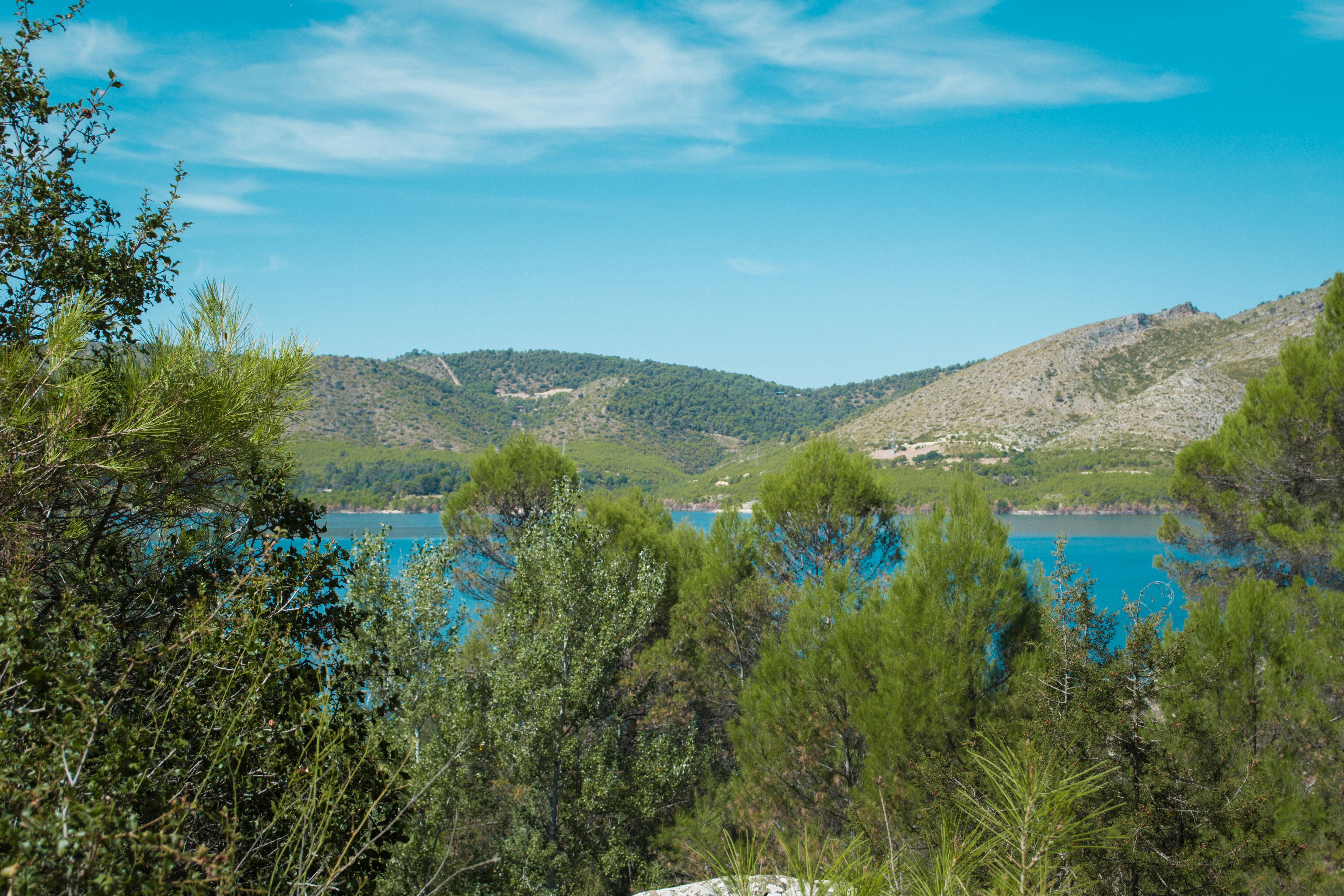 Photo by diseniatica