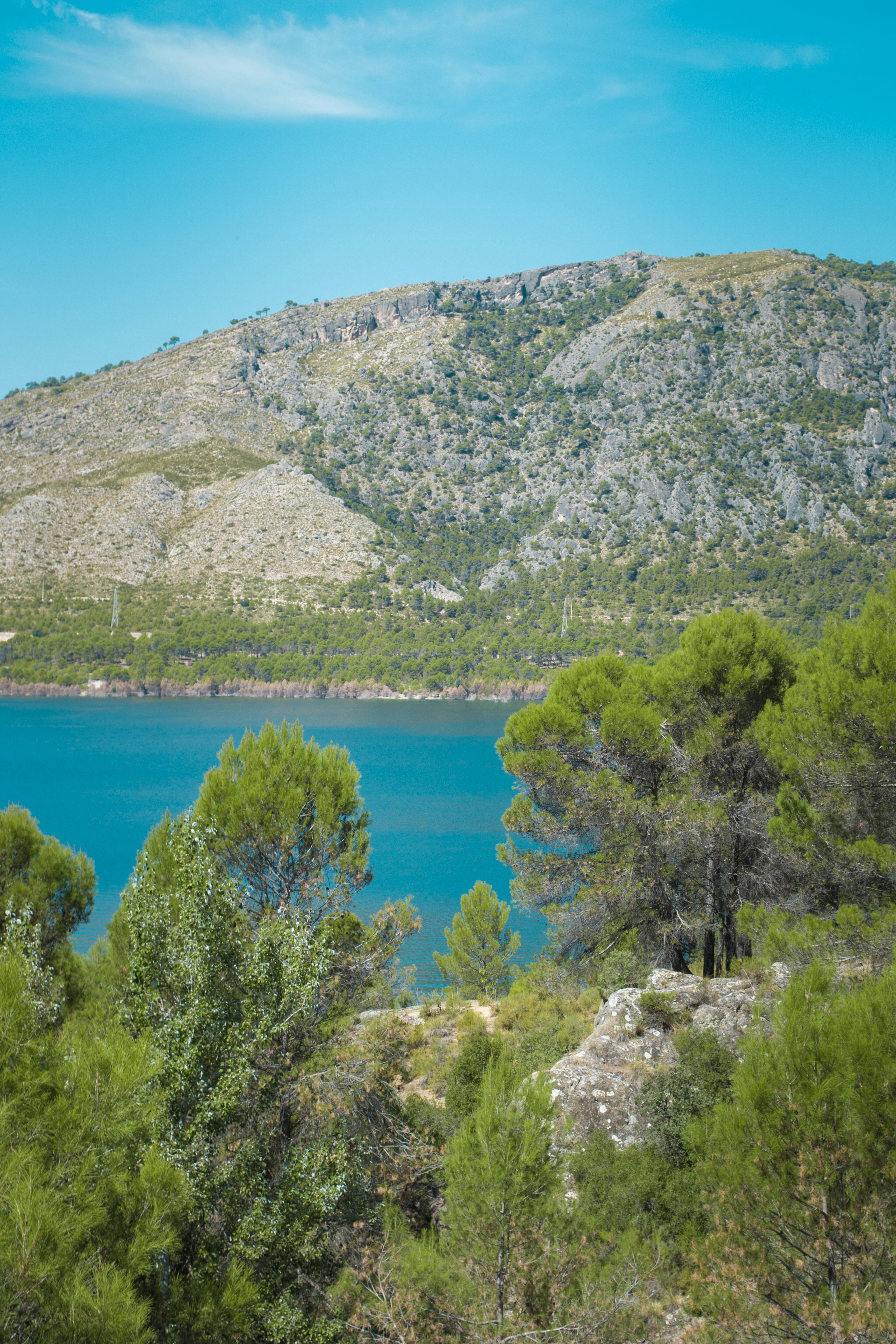 Photo by diseniatica