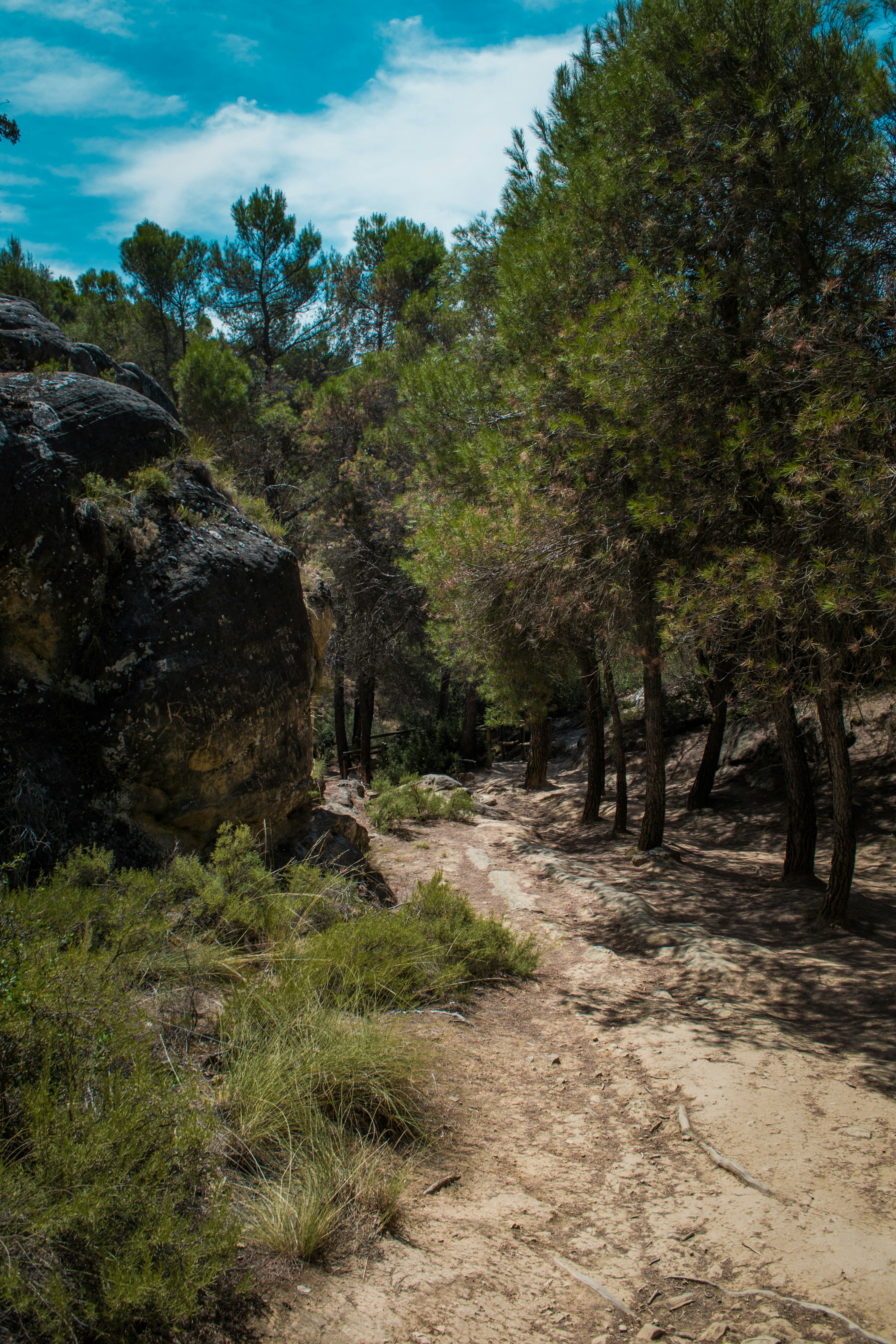 Photo by diseniatica