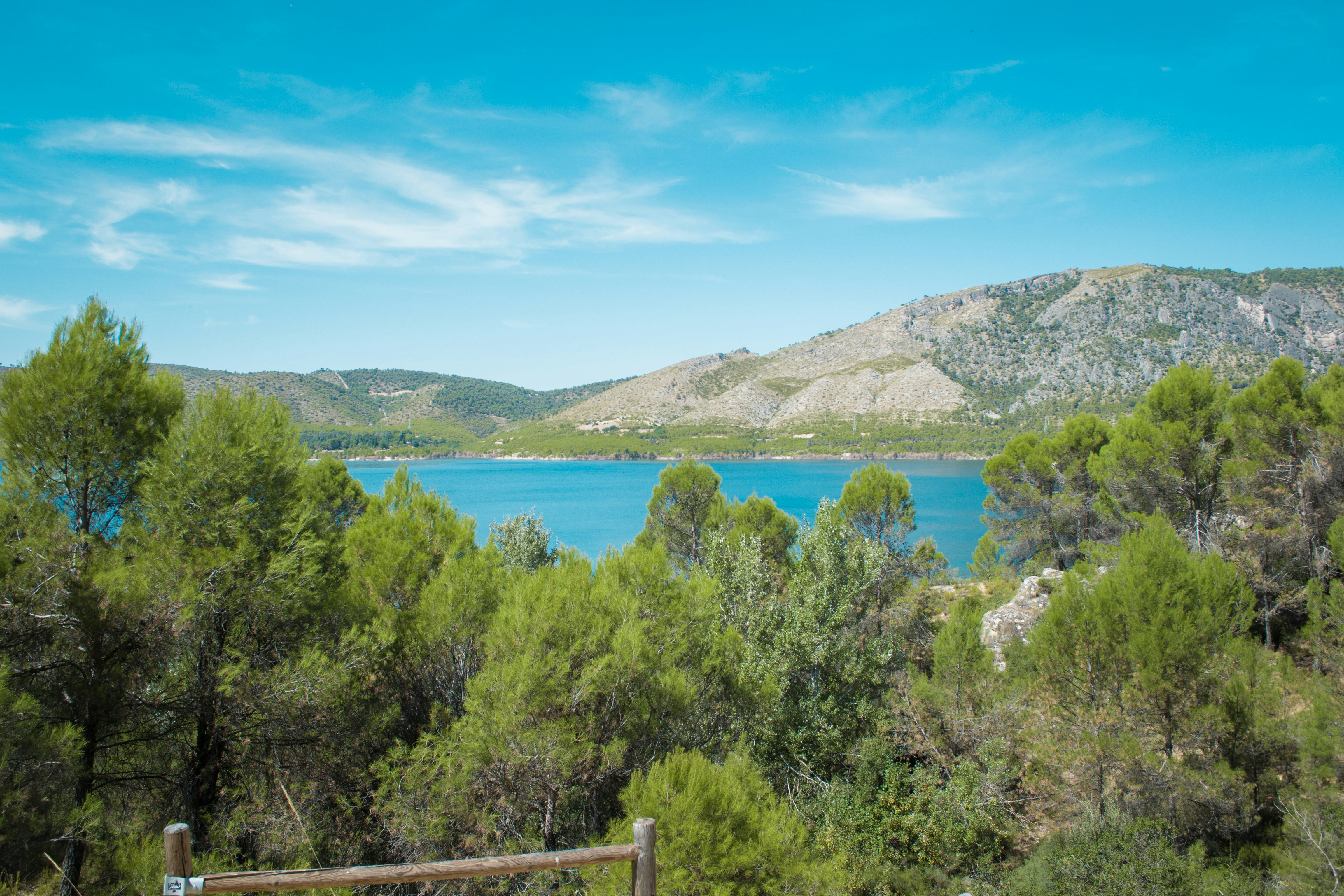 Photo by diseniatica