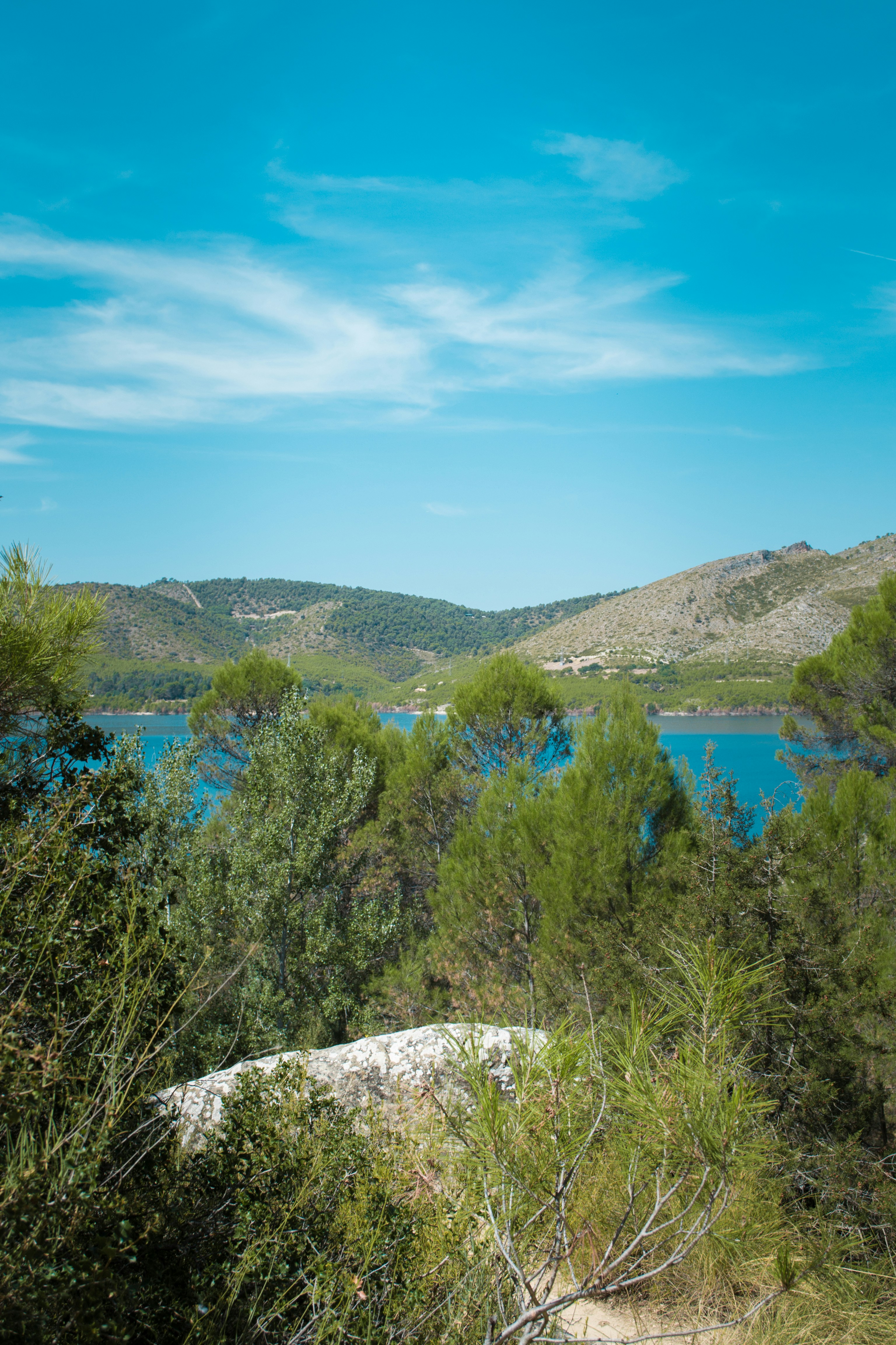 Photo by diseniatica