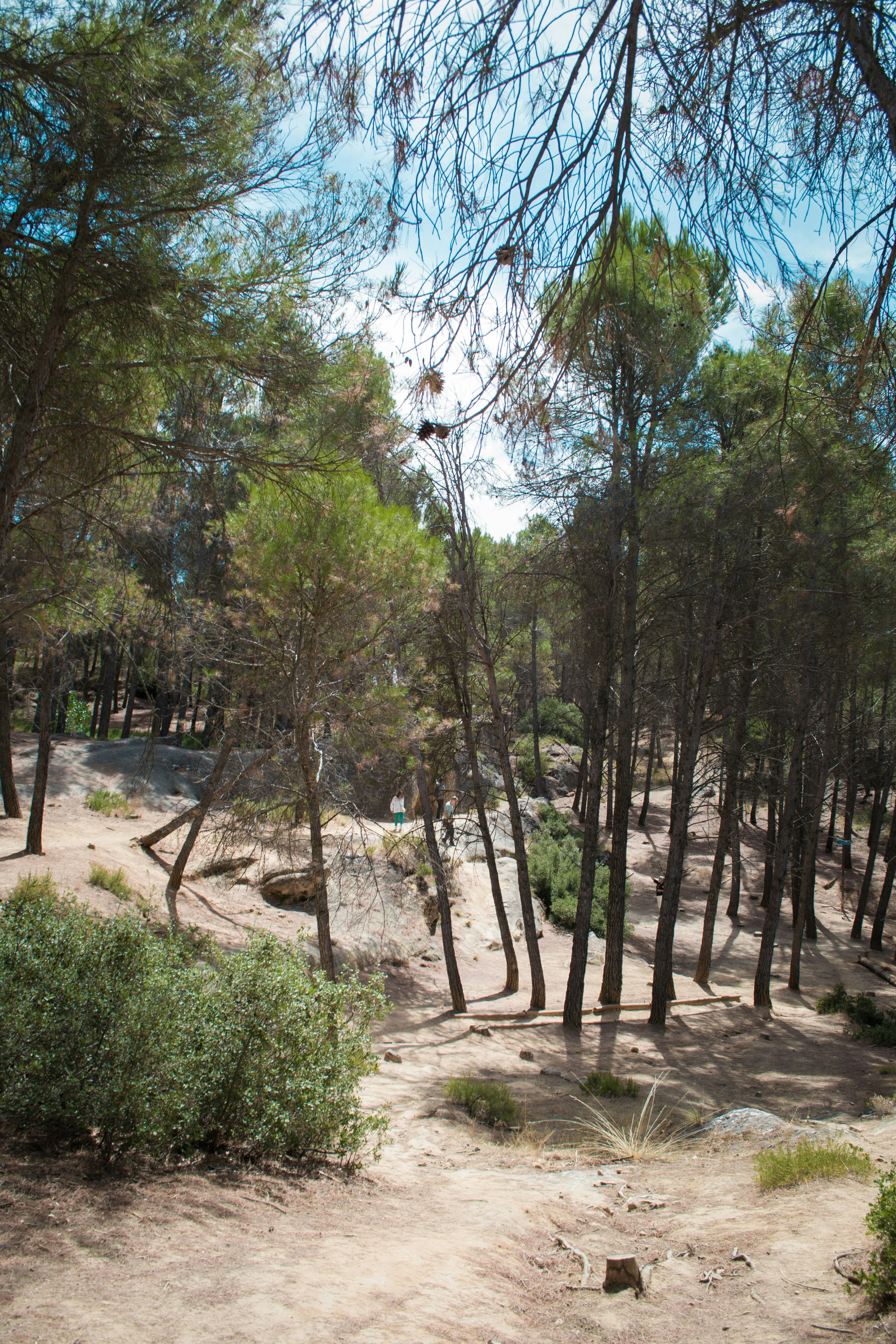 Photo by diseniatica