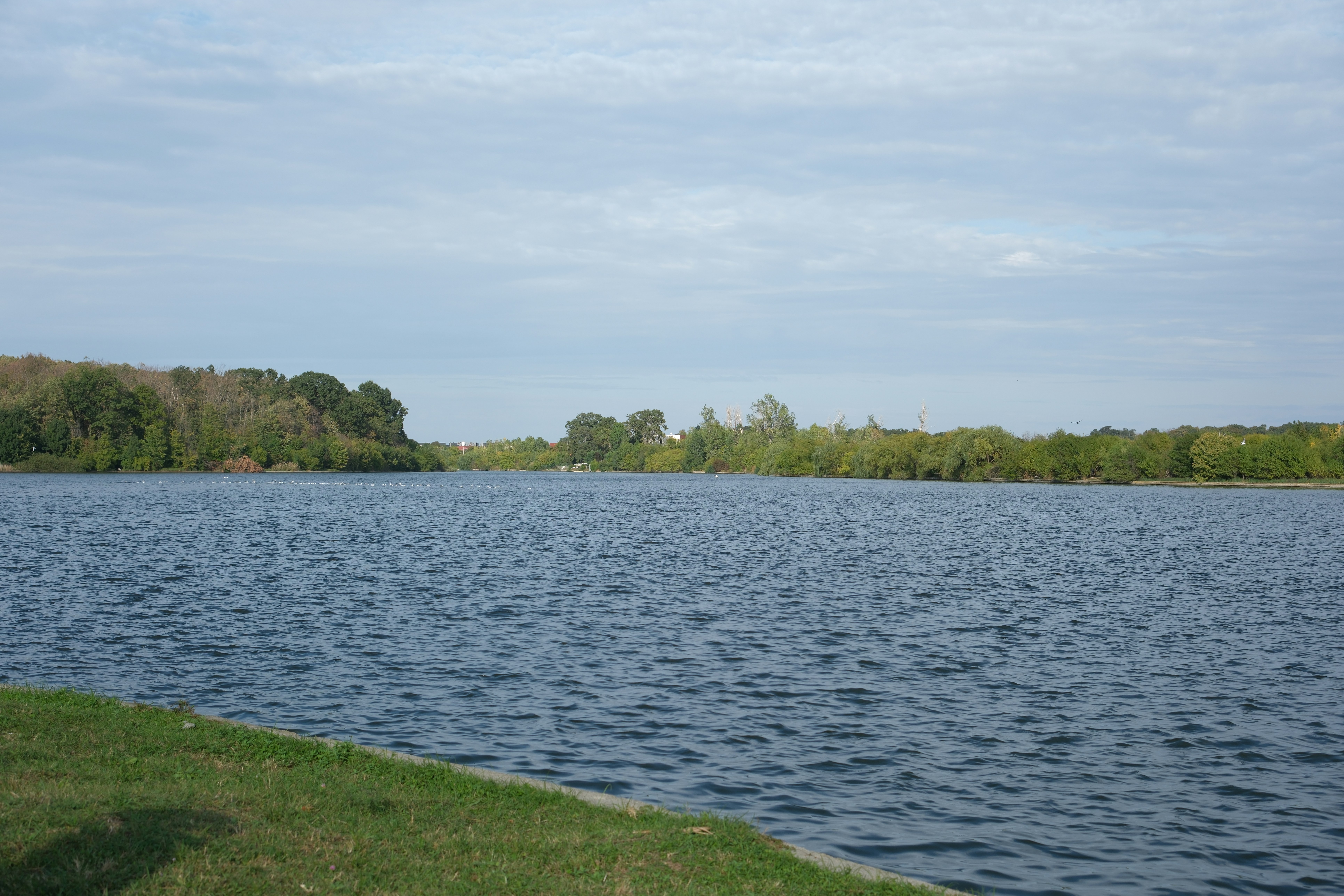 Stop image for San Francisco to Mount Shasta: 3-Day Scenic Nature Escape - Calm lake with trees and grass on shore -  in Pacific Northwest & West Coast - Photo by Mihai Neagu on Unsplash