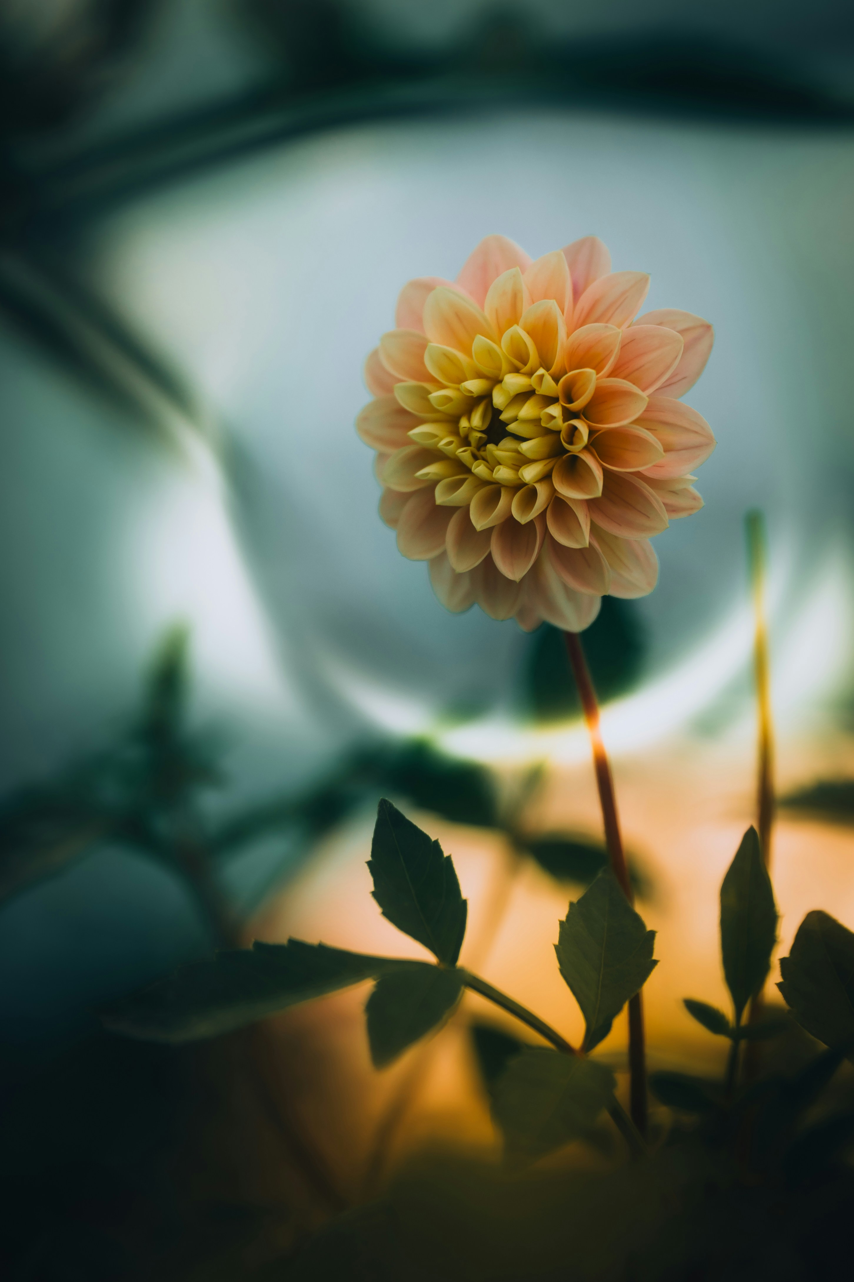 Photo by aurel_tyson