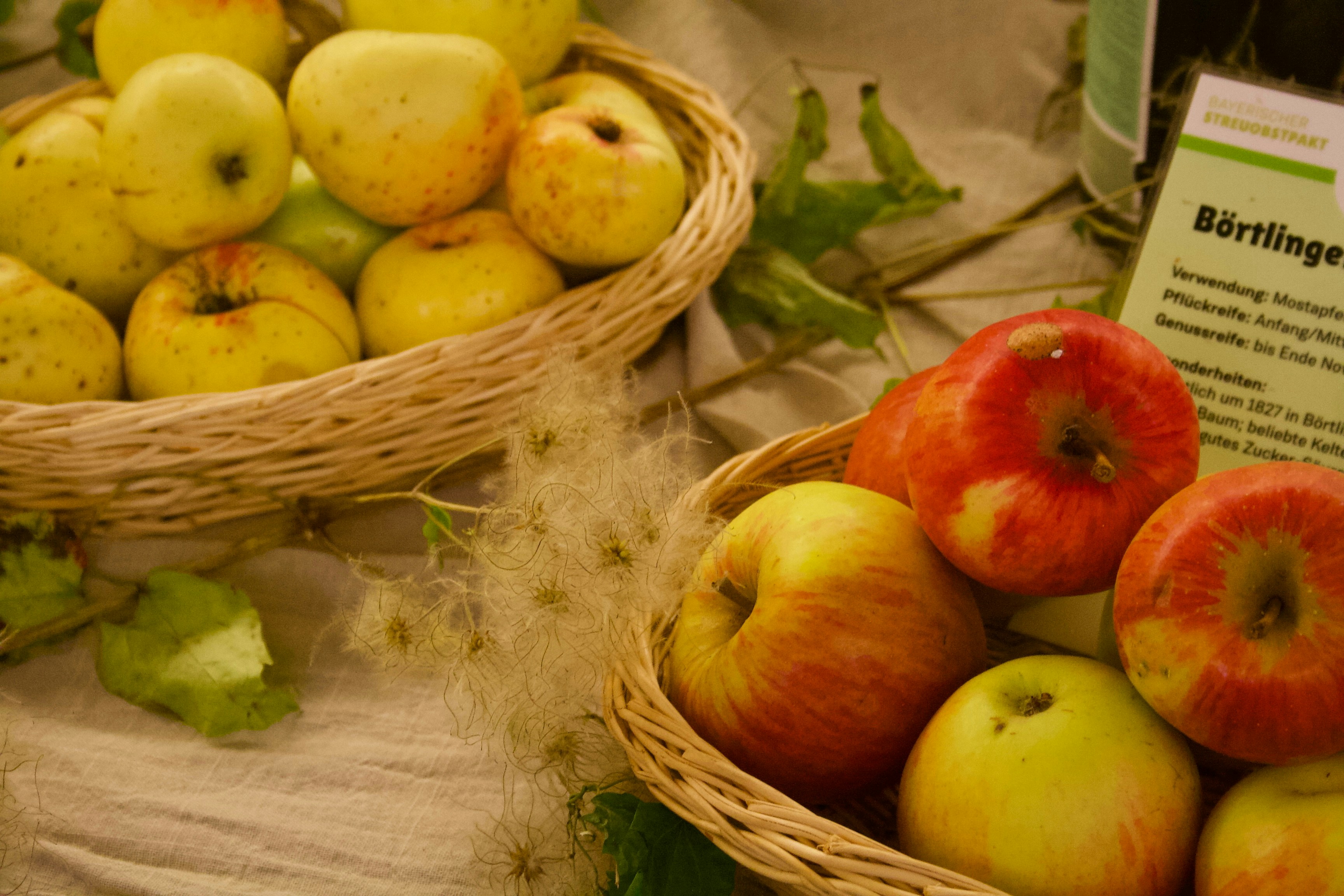 Photo by kierannguyen