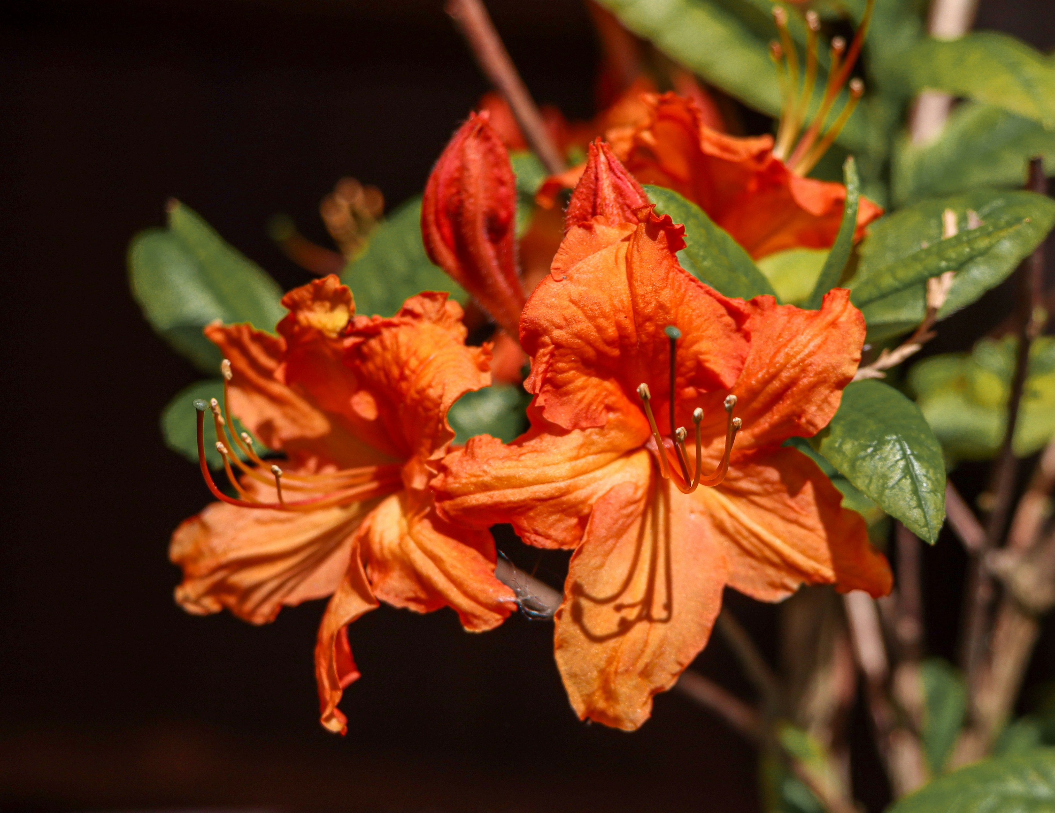 Photo by mhfphotographygb