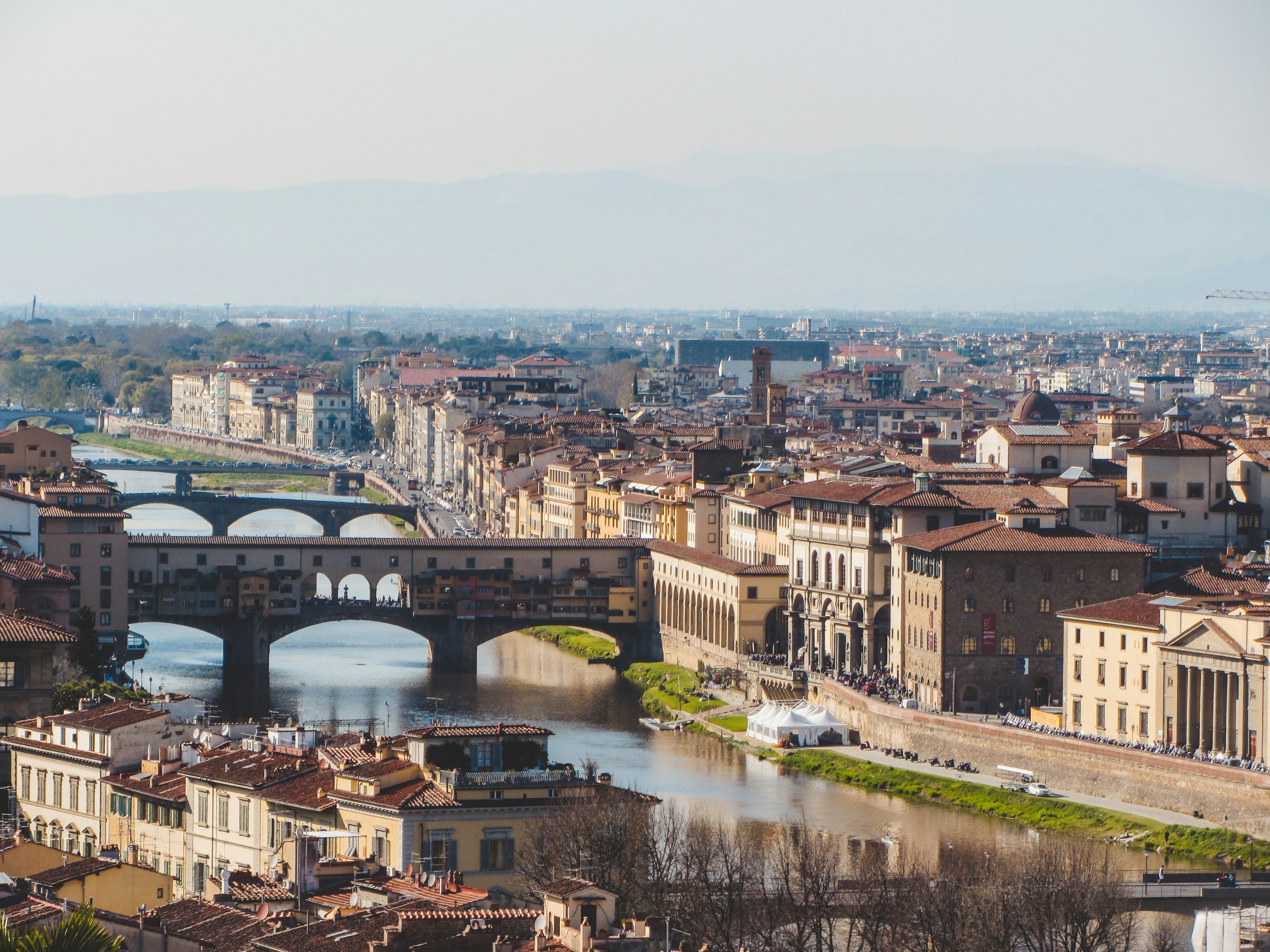 Photo by clovegrove7