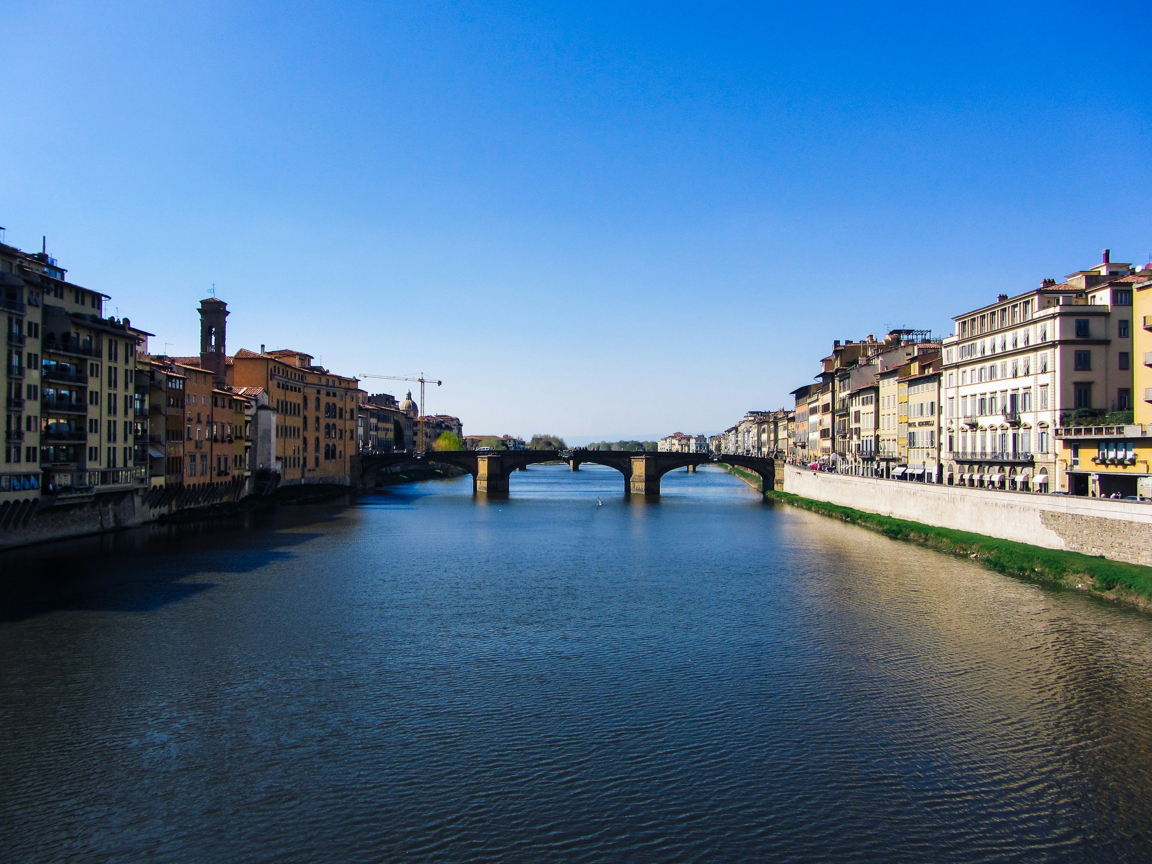 Photo by clovegrove7