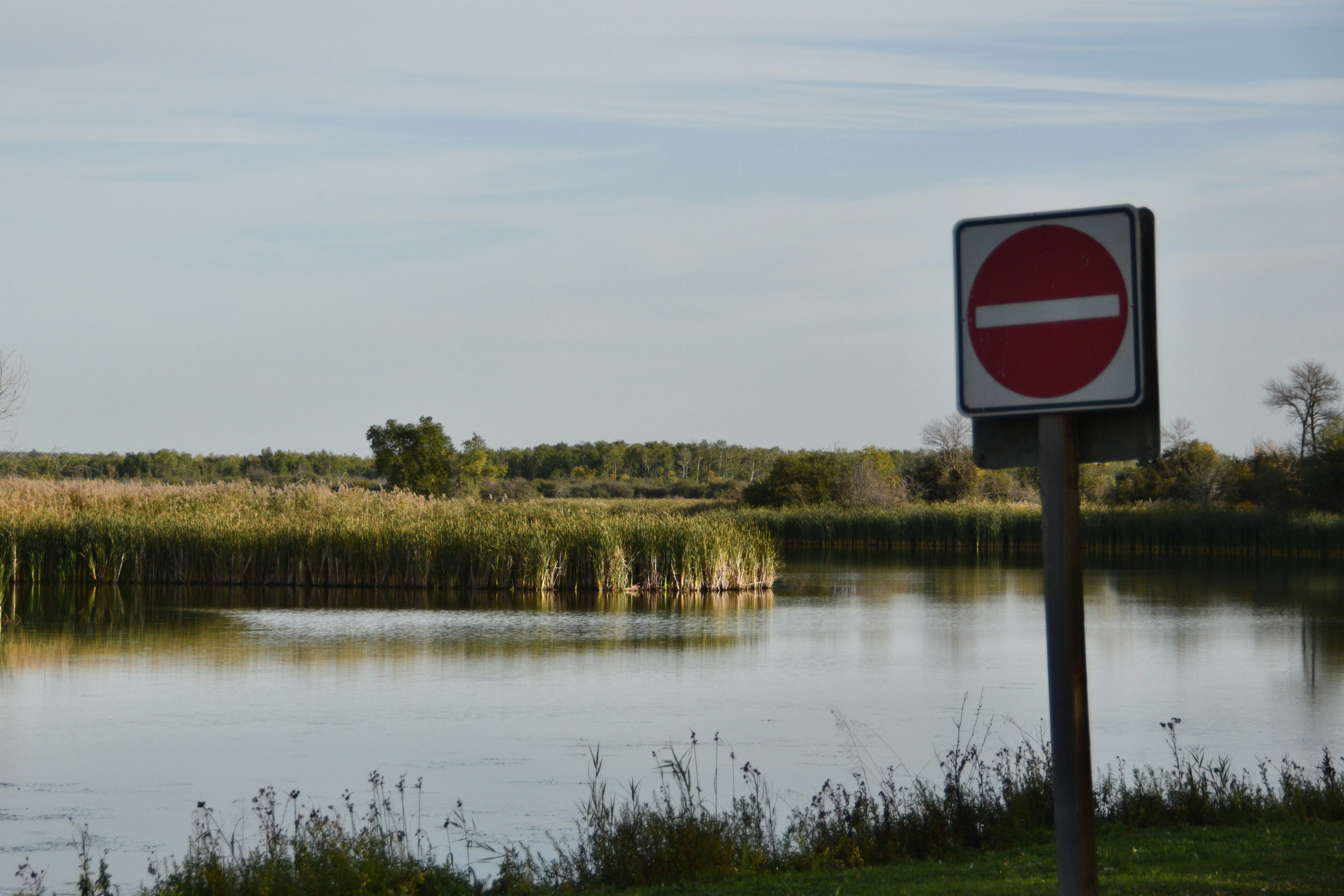 Do not enter sign by calm lake with reeds