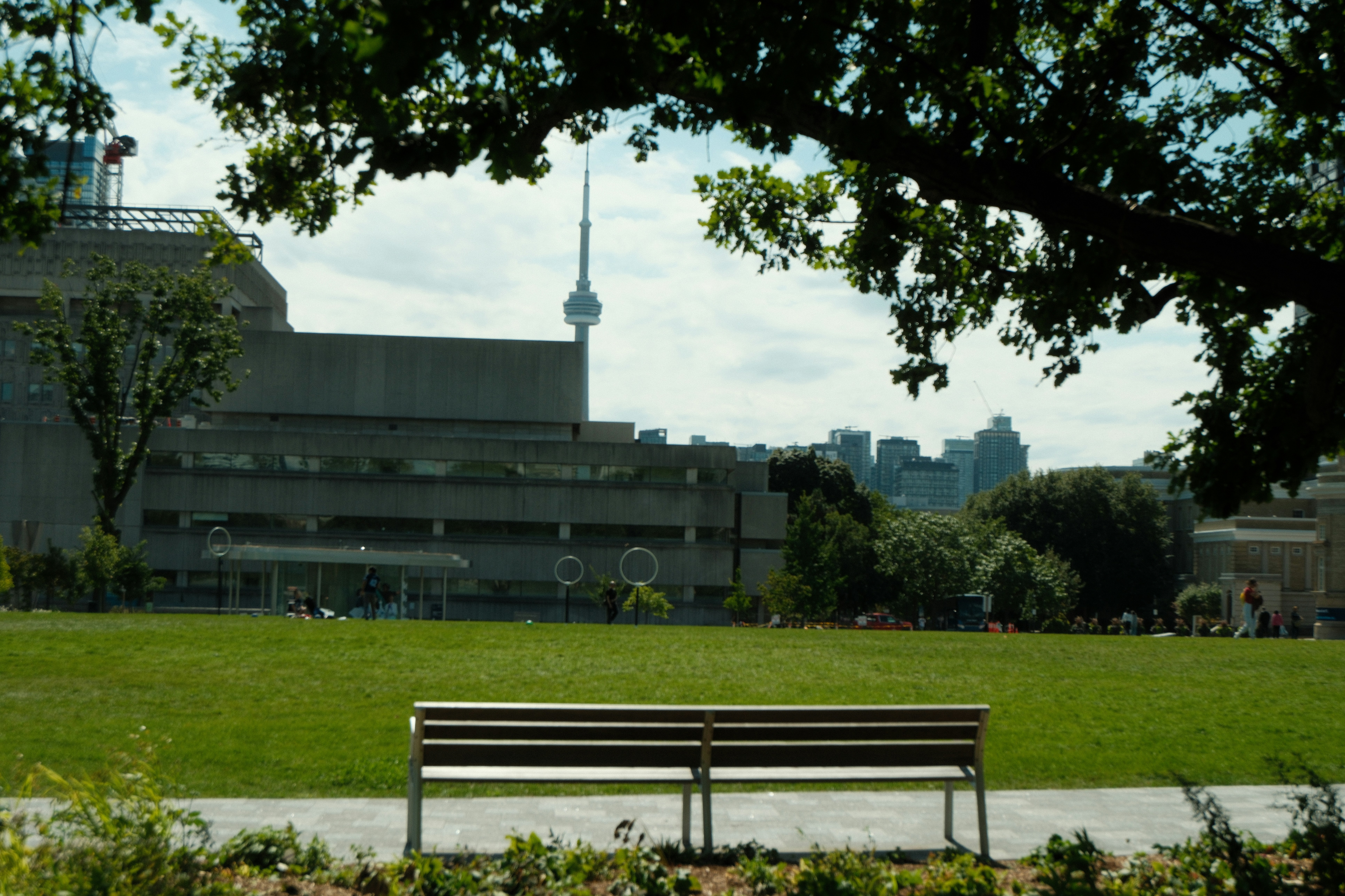 Park bench with city skyline and trees in background