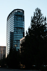 Modern glass skyscraper behind dark evergreen trees.