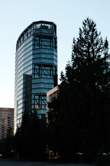 Modern glass skyscraper behind dark evergreen trees.