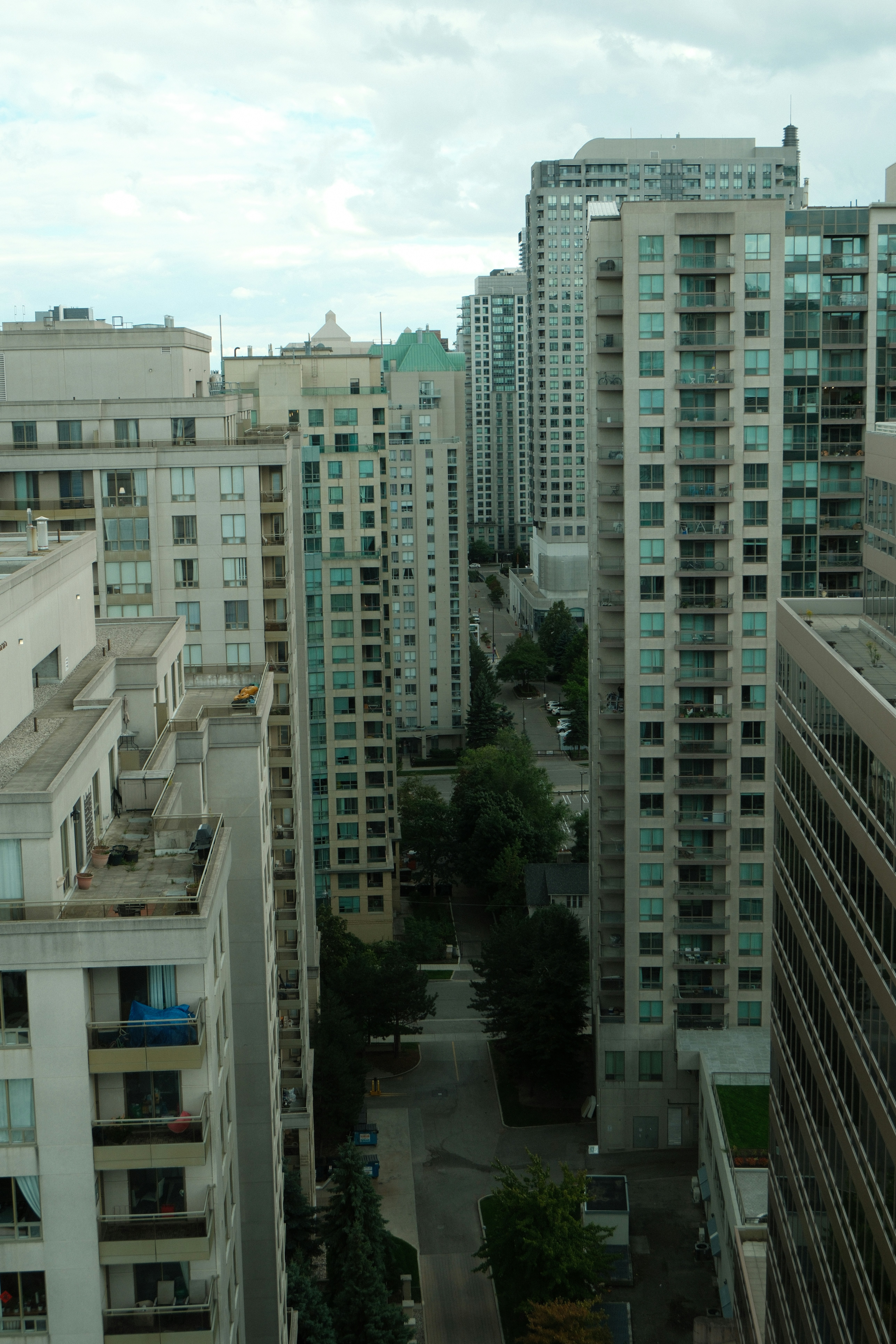 Tall buildings line a city street with trees.
