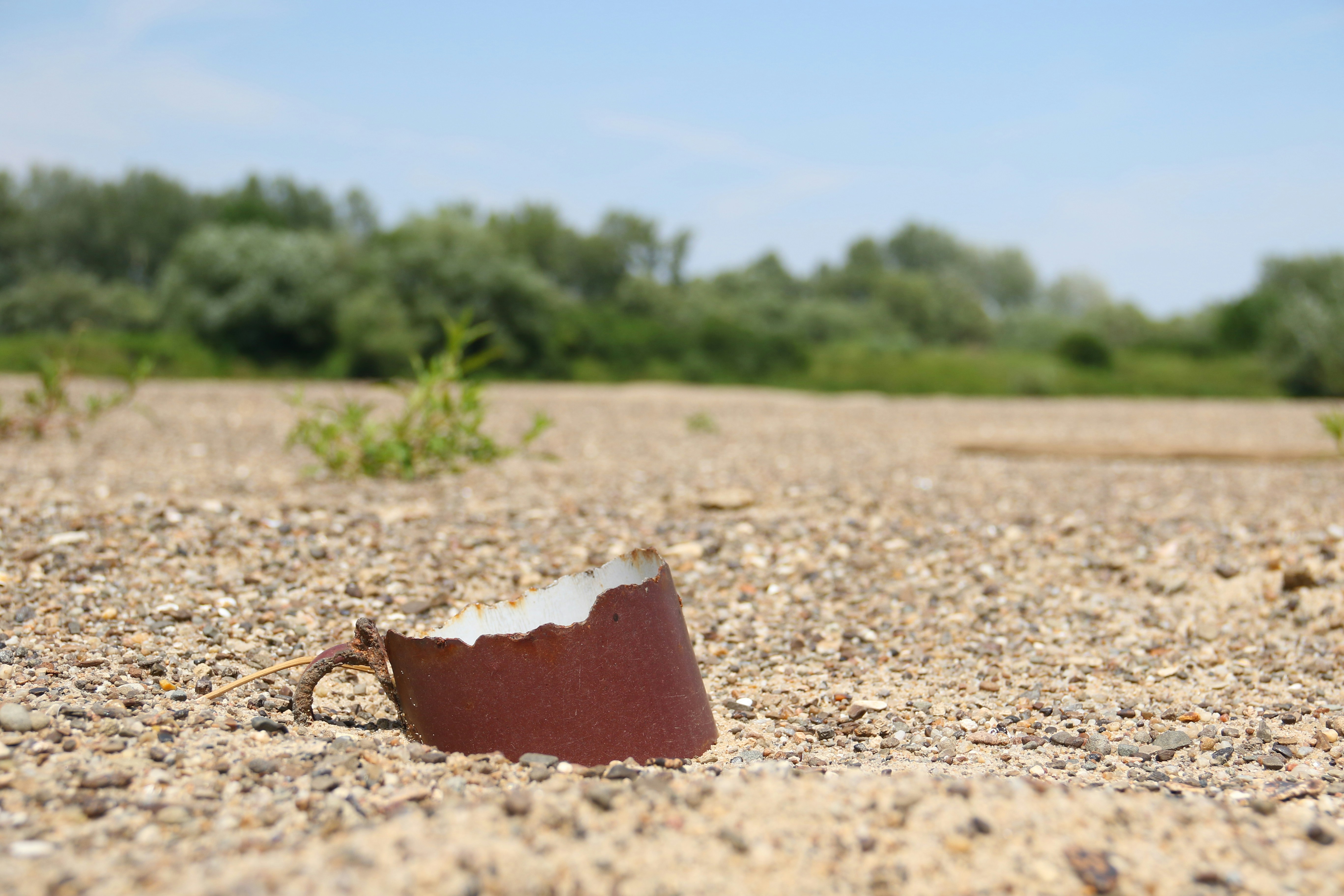 La copa rota yace en suelo arenoso cerca de los árboles.