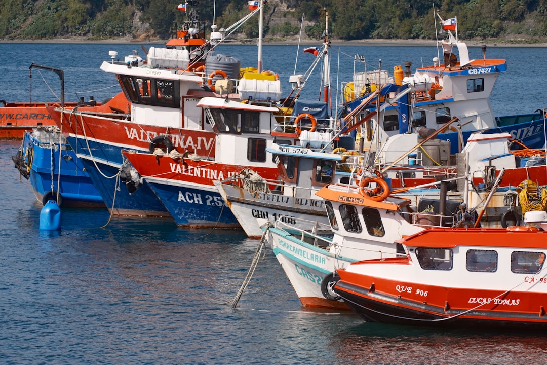 Embarcaciones pesqueras en puerto de la industria salmonera chilena