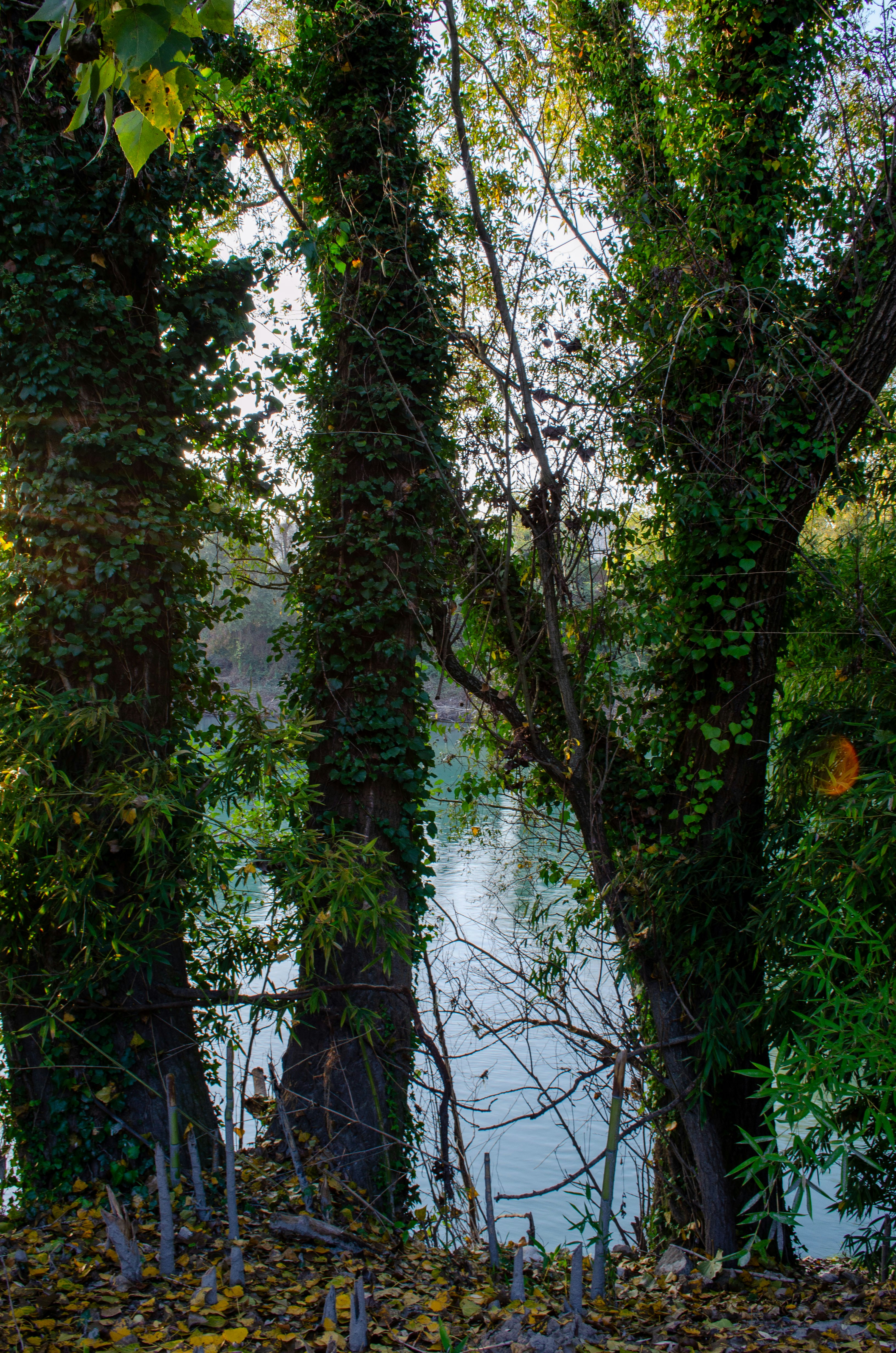 Photo by matteocandolo