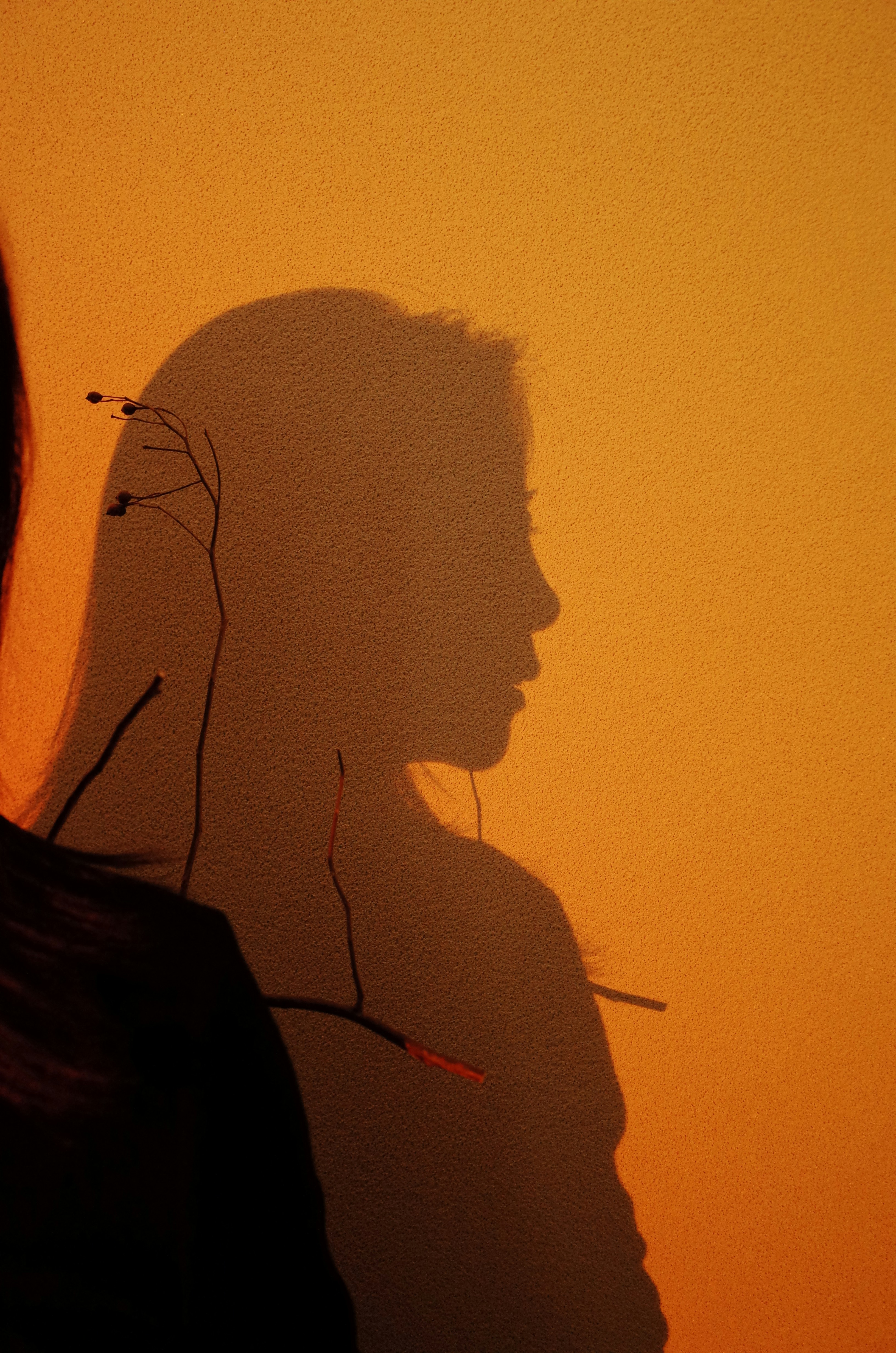 A player silhouette against a sunset.