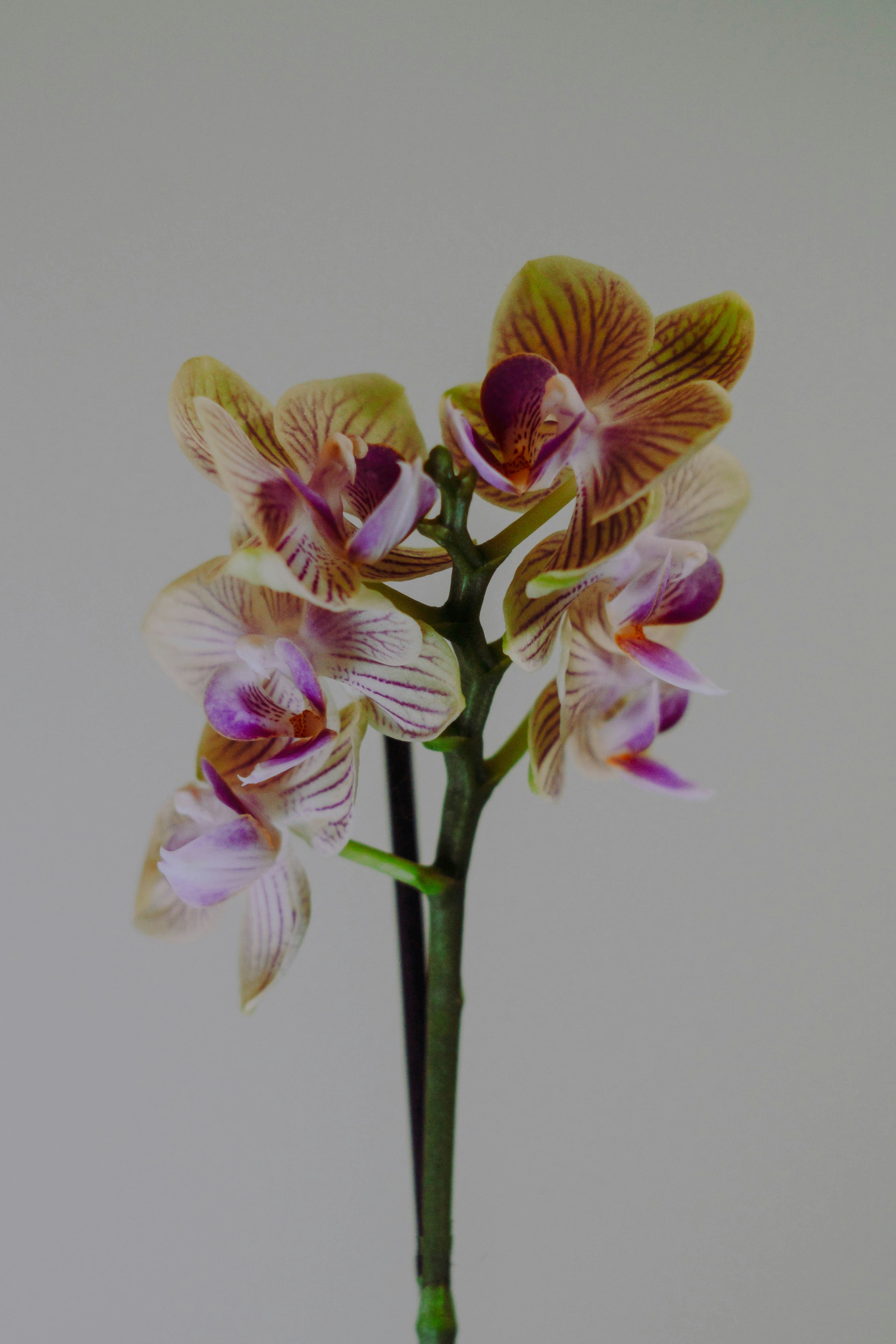 Photo by christineezhaang