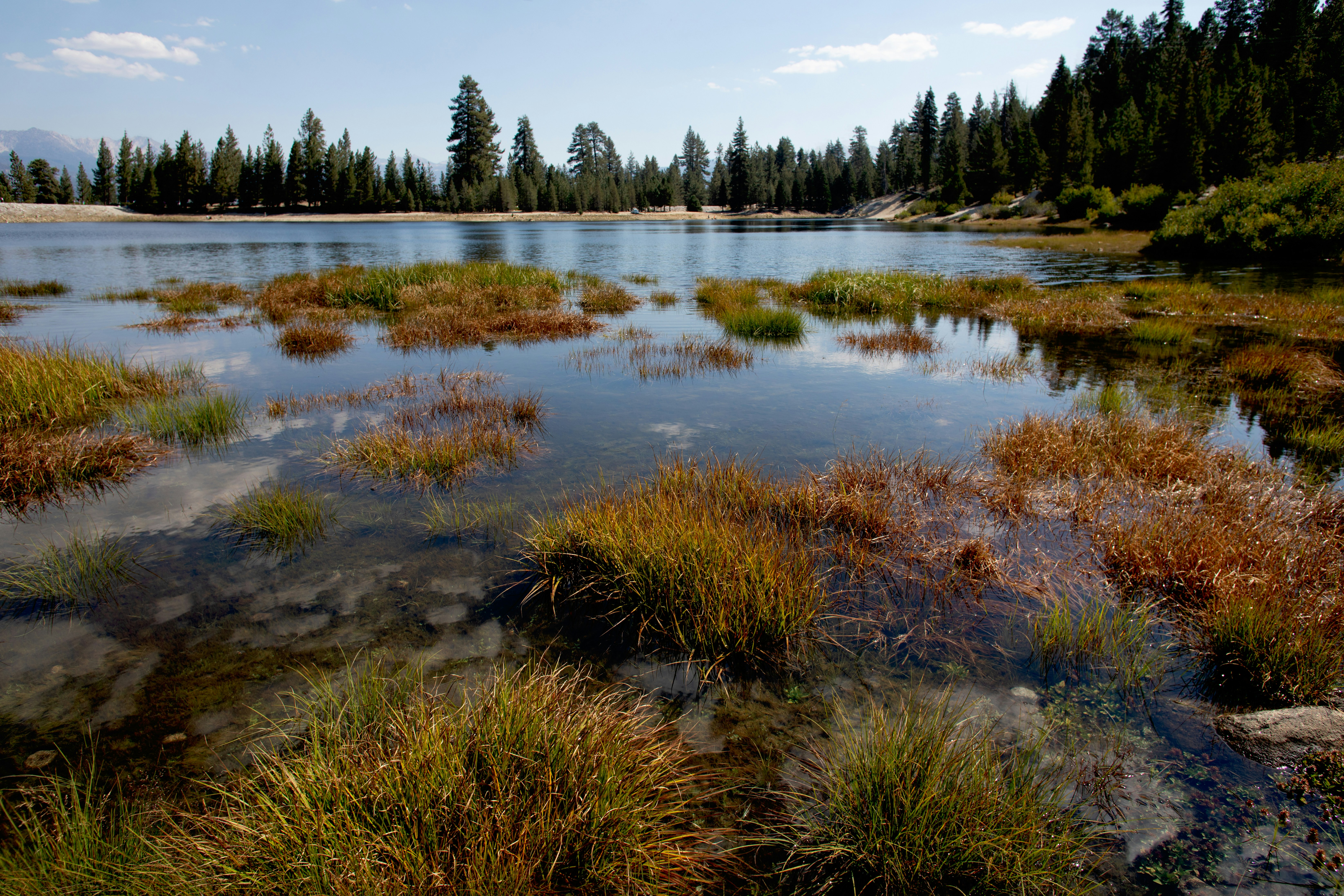 Photo by sixteenmilesout