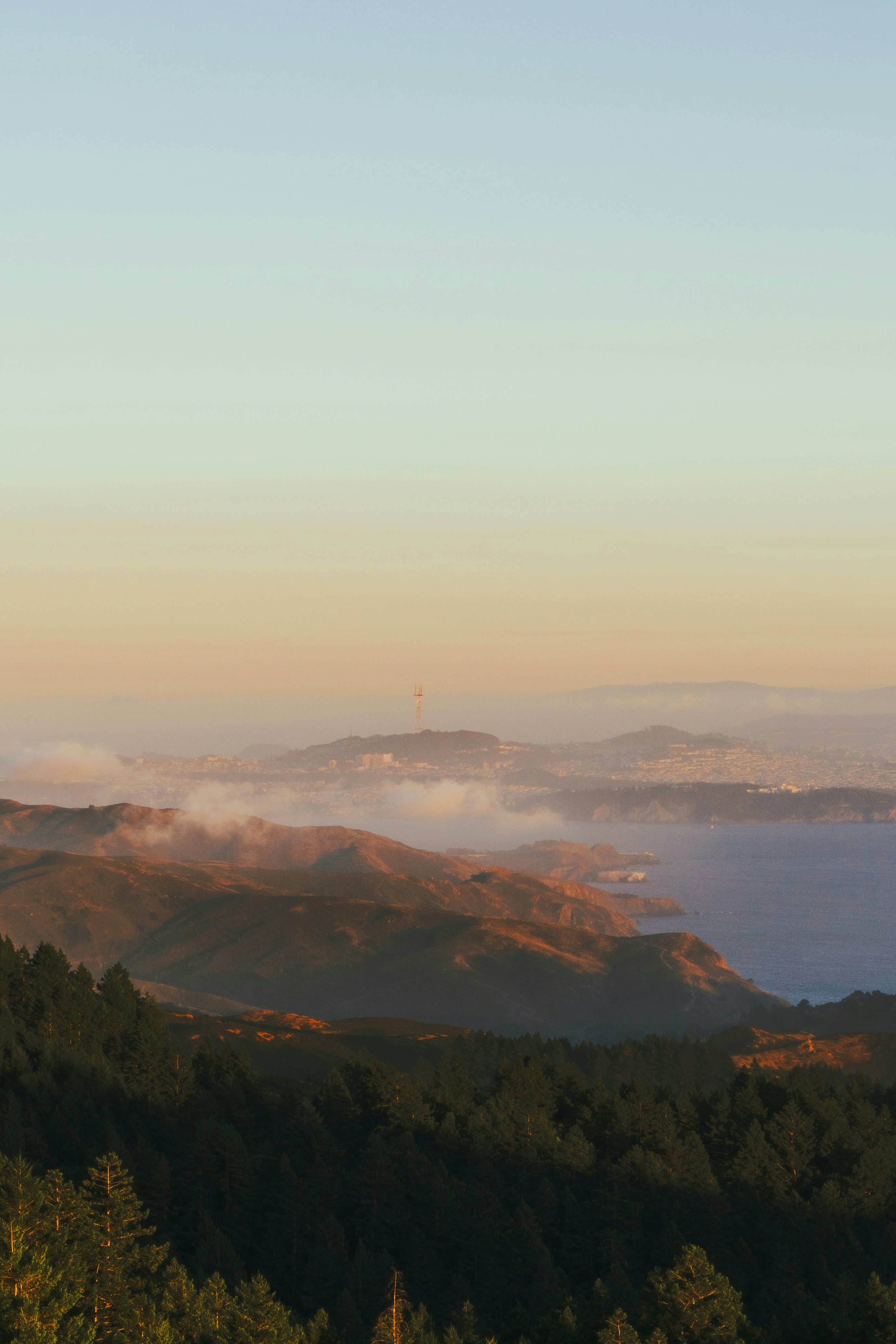 Hazy mountains and forest at sunrise with soft sky.