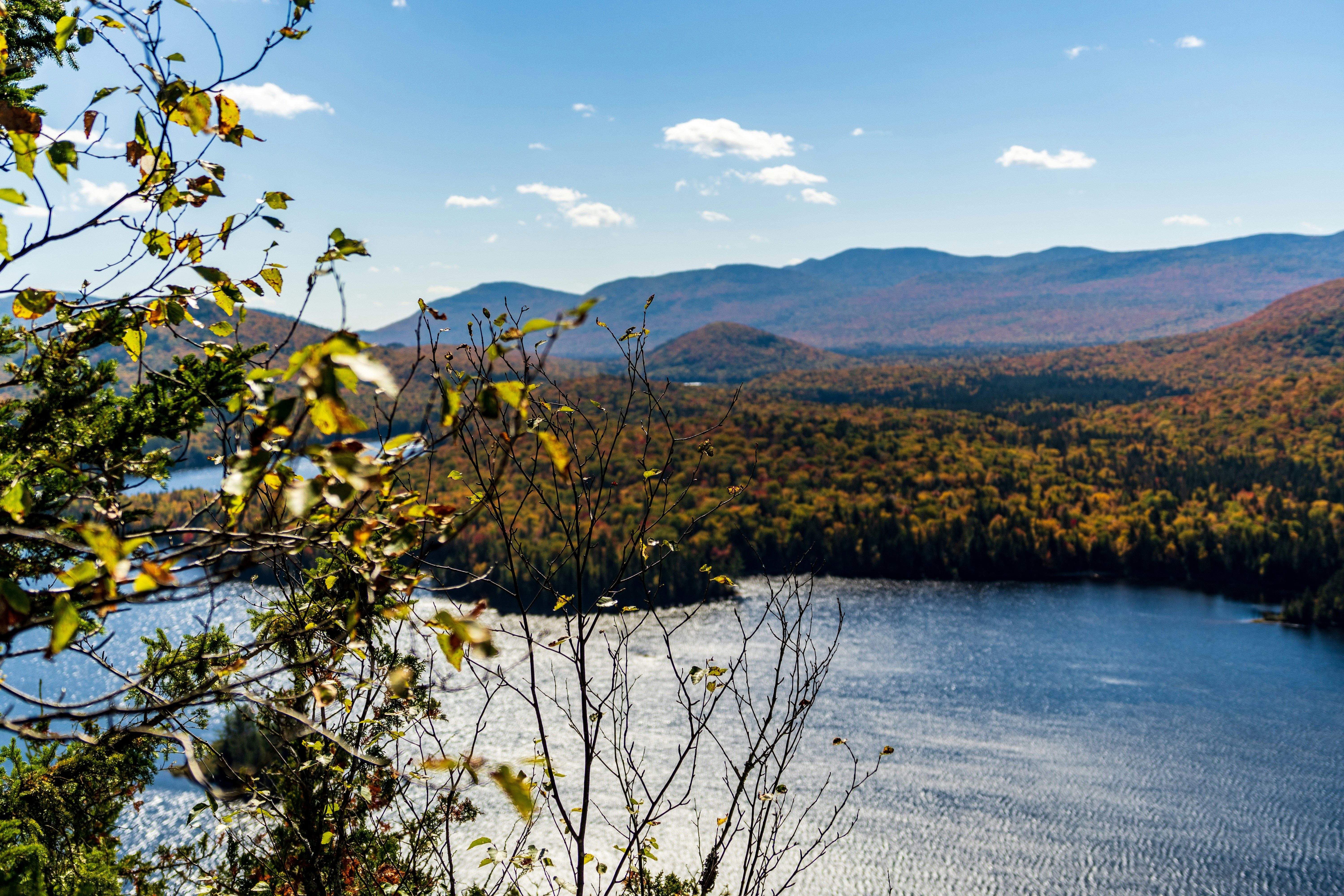 Photo by photographybymat_26