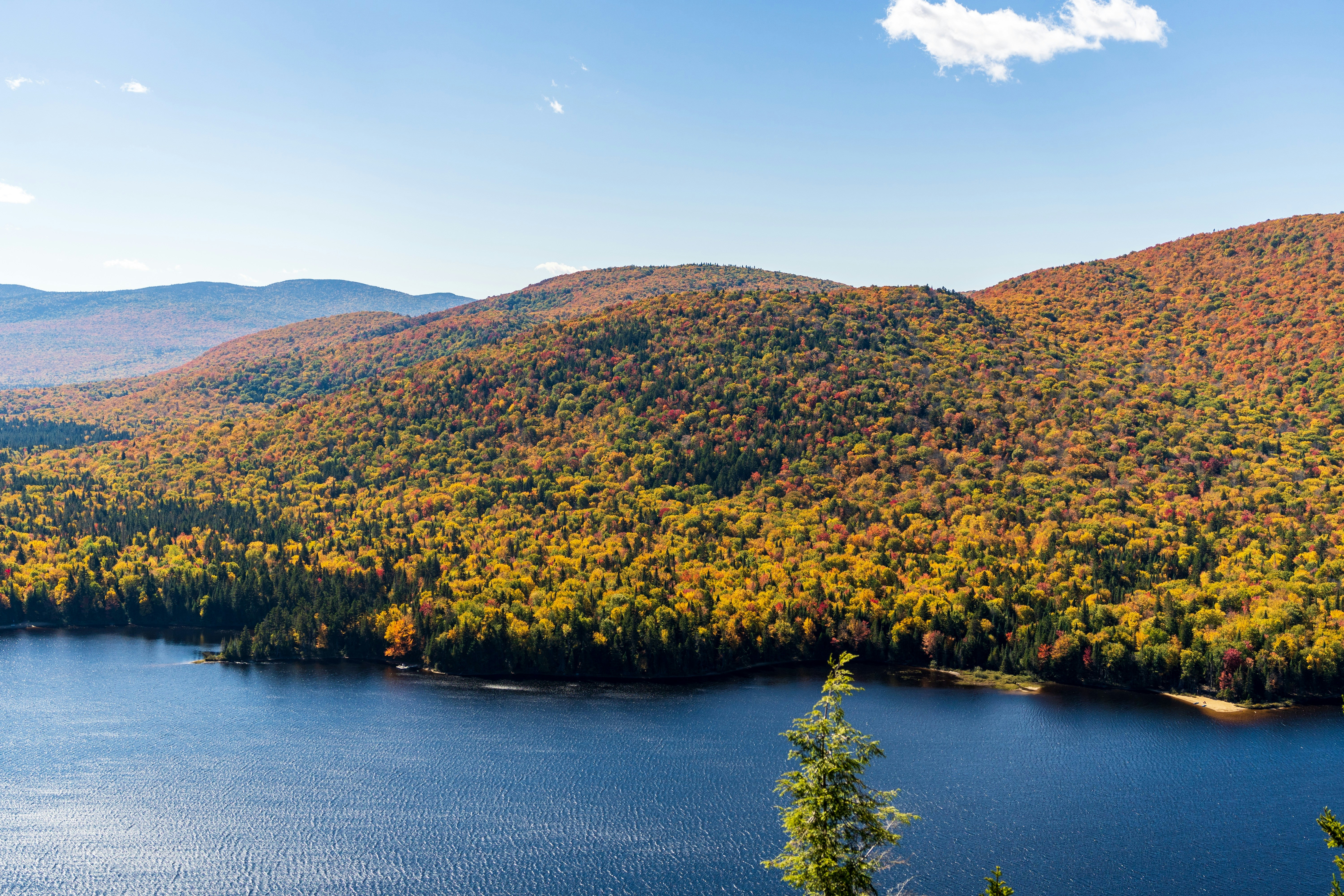 Photo by photographybymat_26