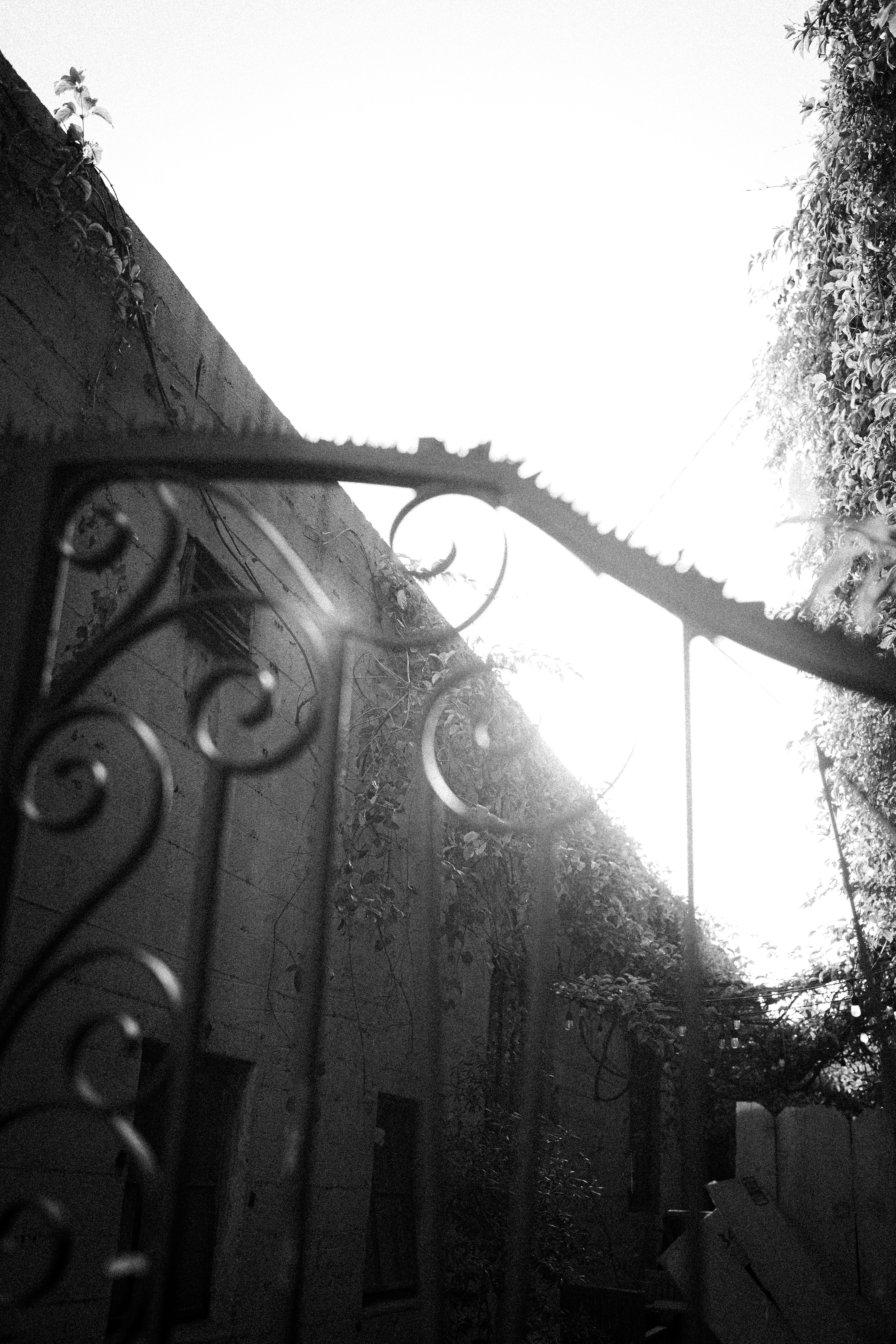 Photo by mbcarterphotography