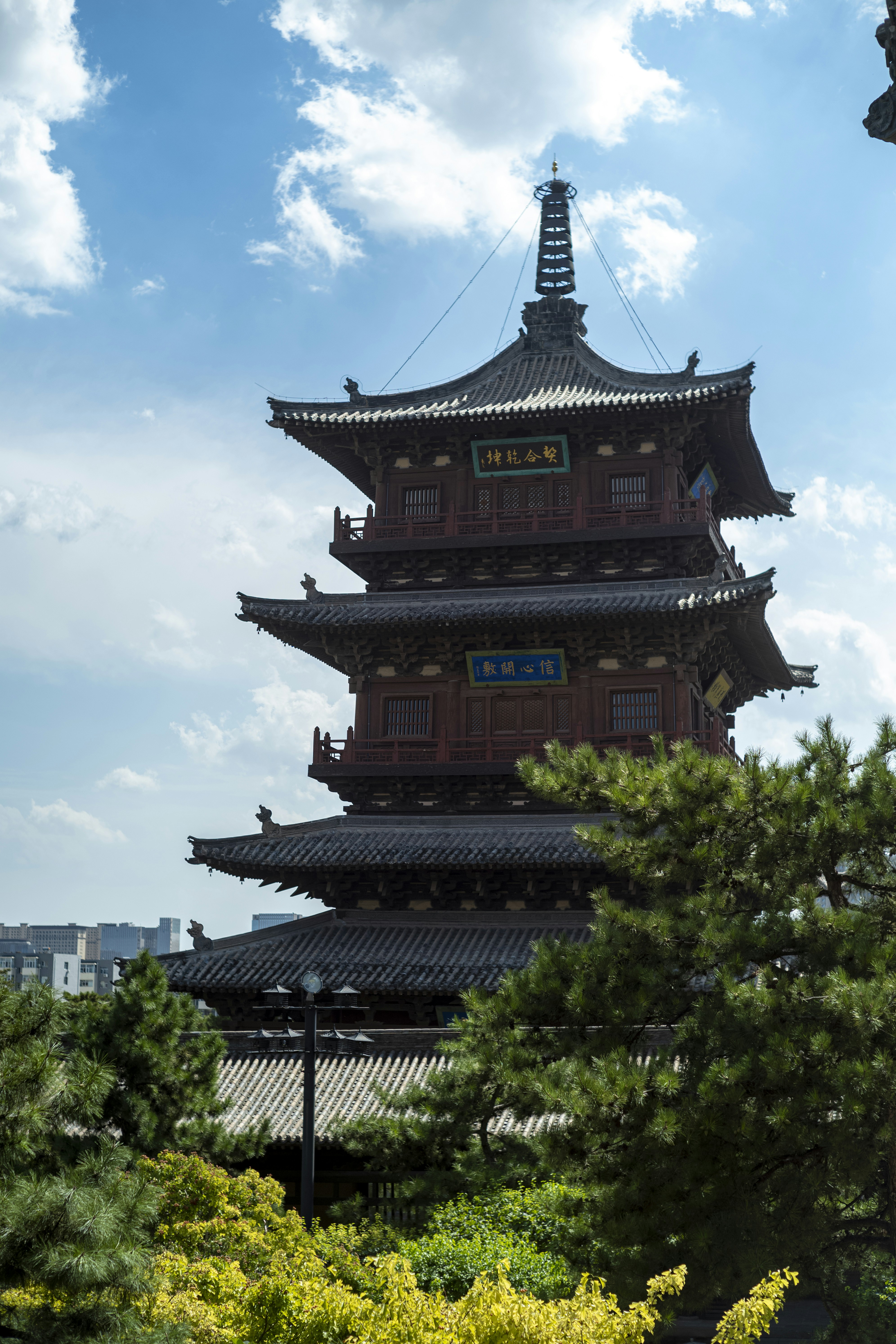 Photo by tommaomaoer