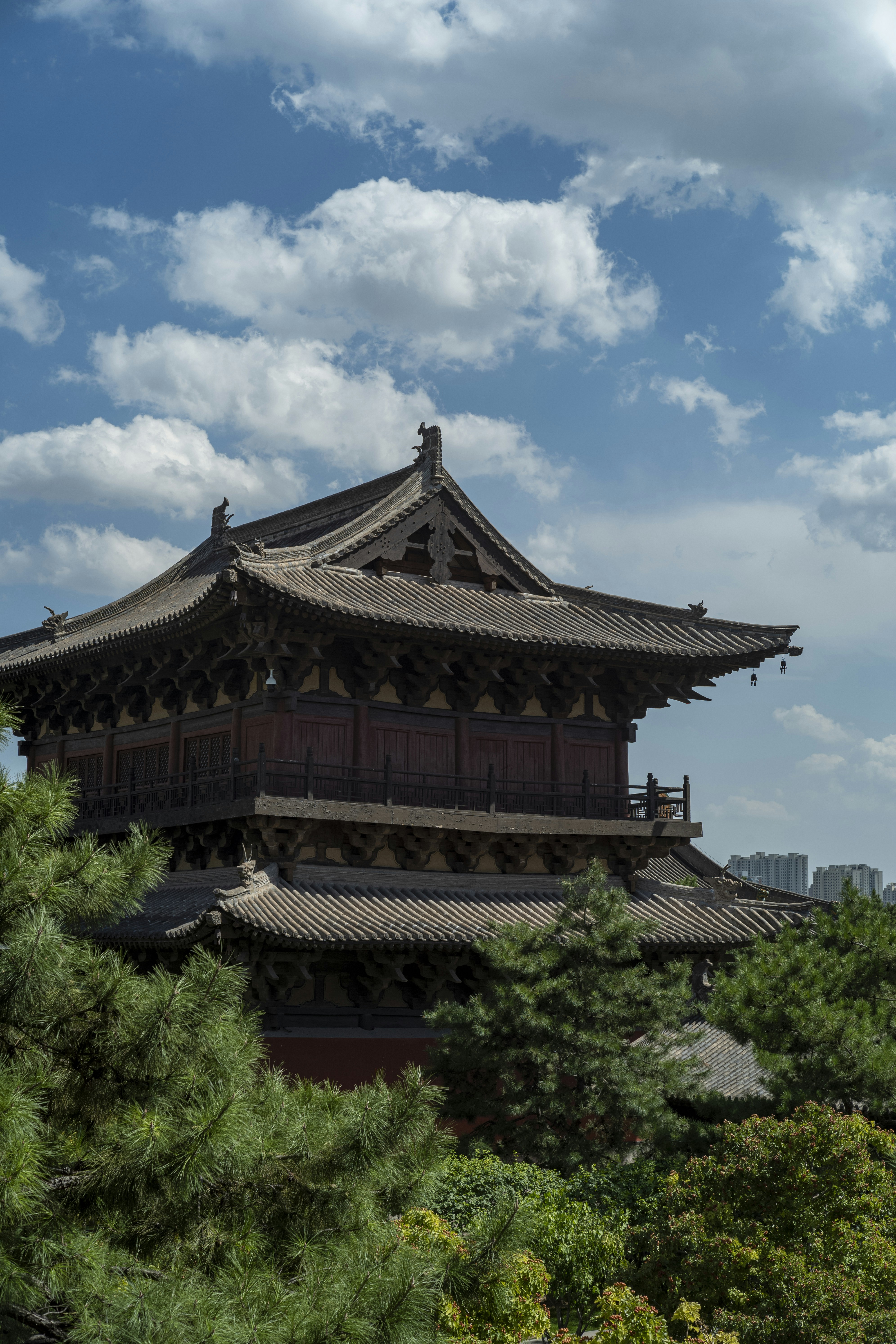 Photo by tommaomaoer