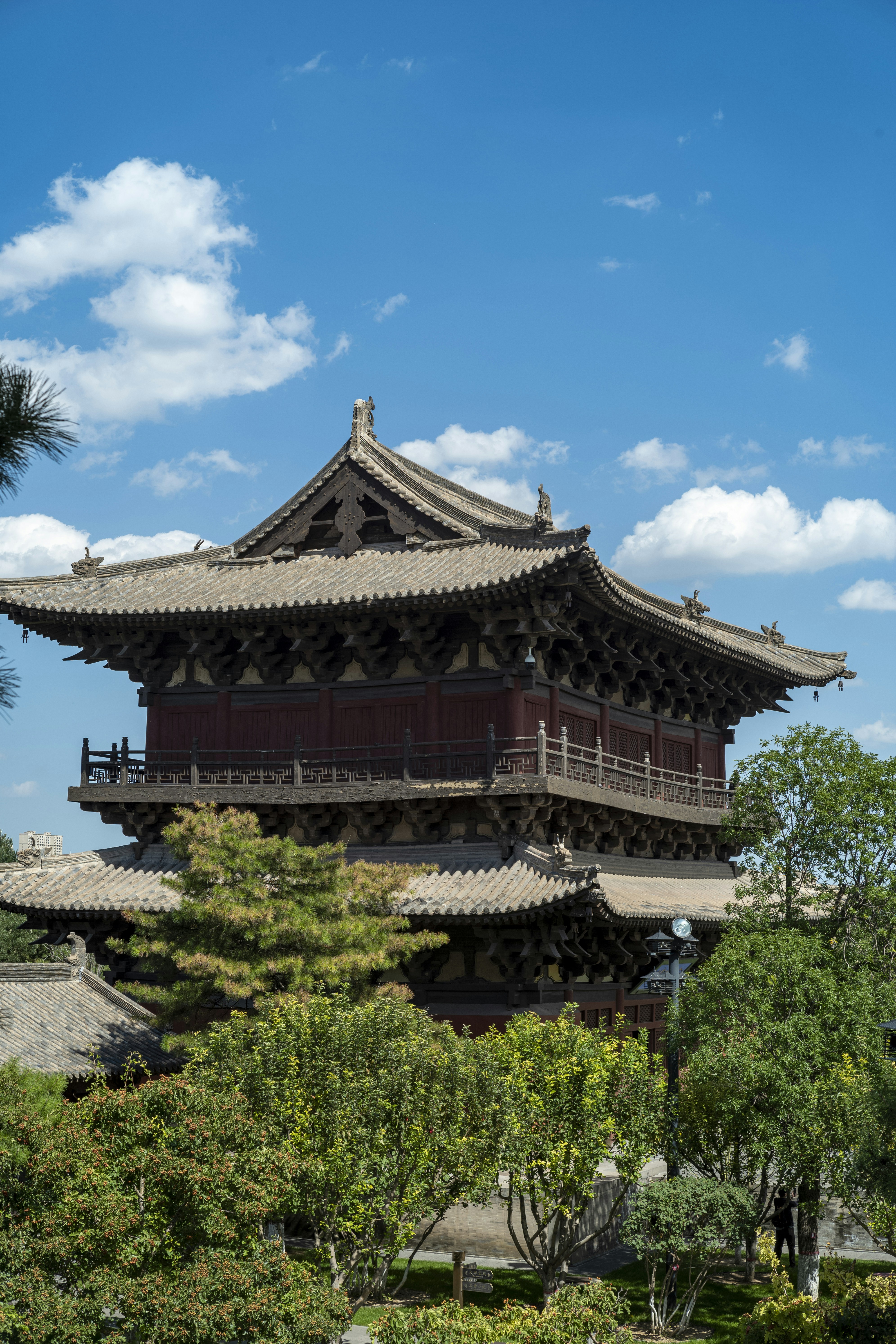 Photo by tommaomaoer