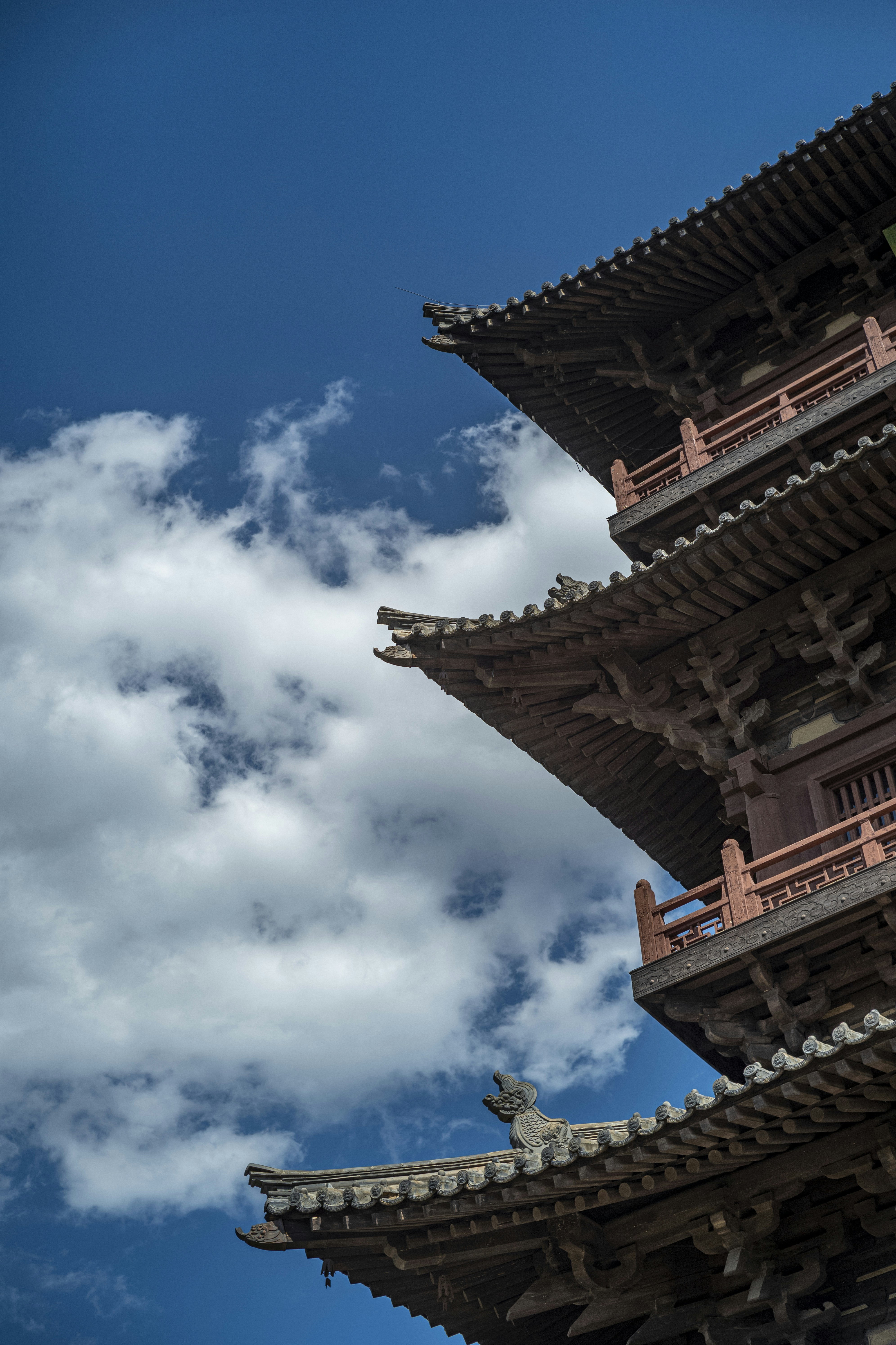 Photo by tommaomaoer