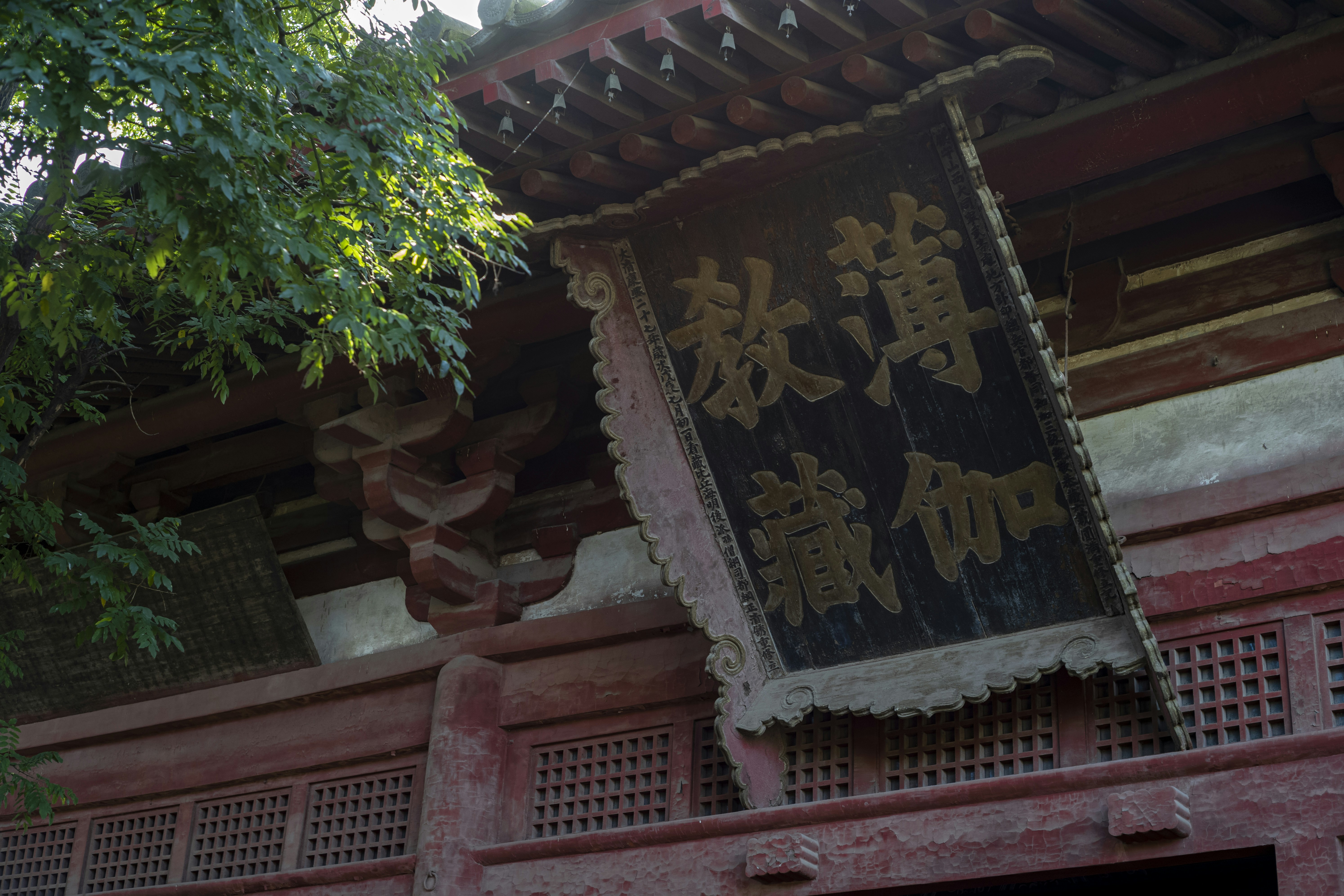 Photo by tommaomaoer