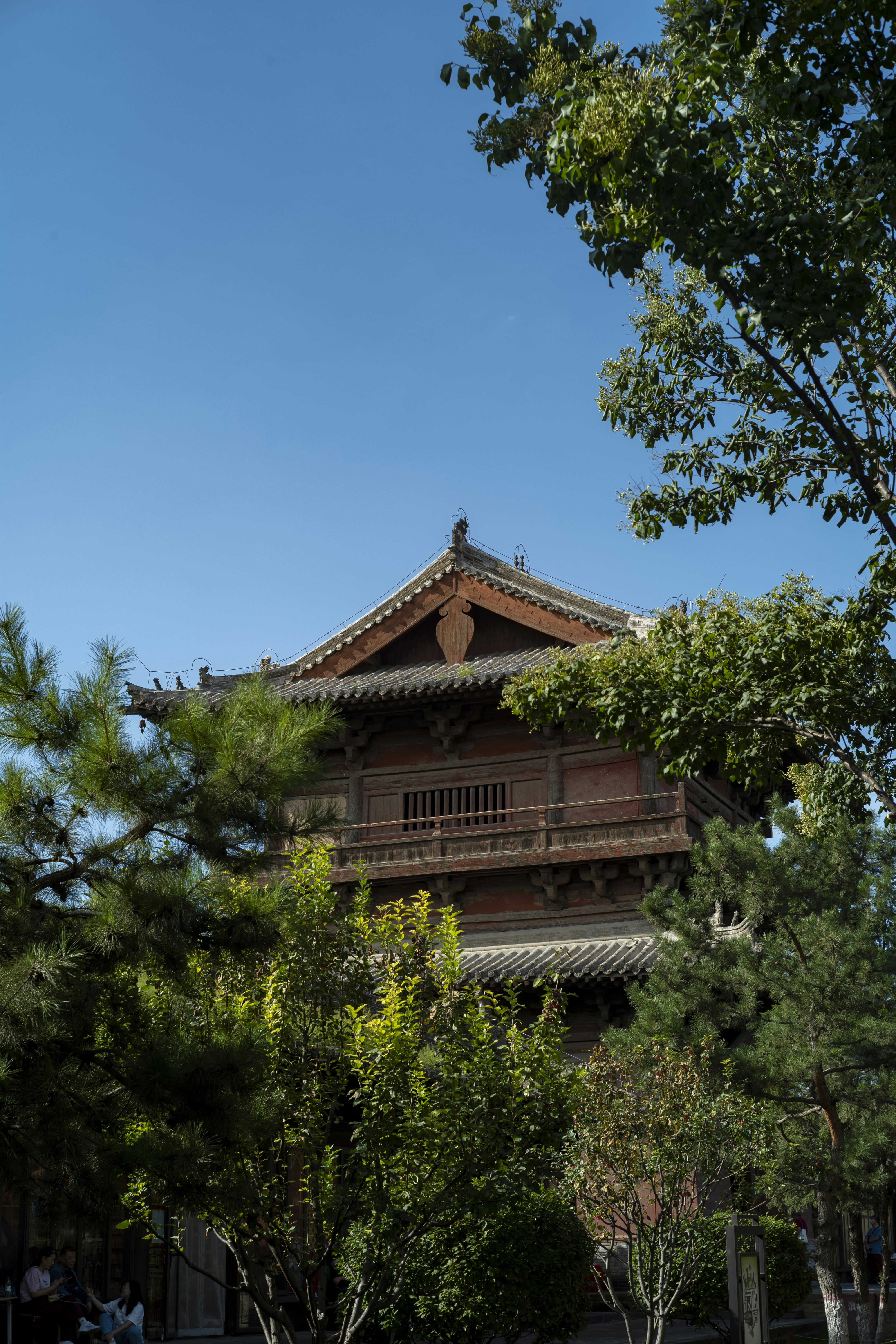 Photo by tommaomaoer