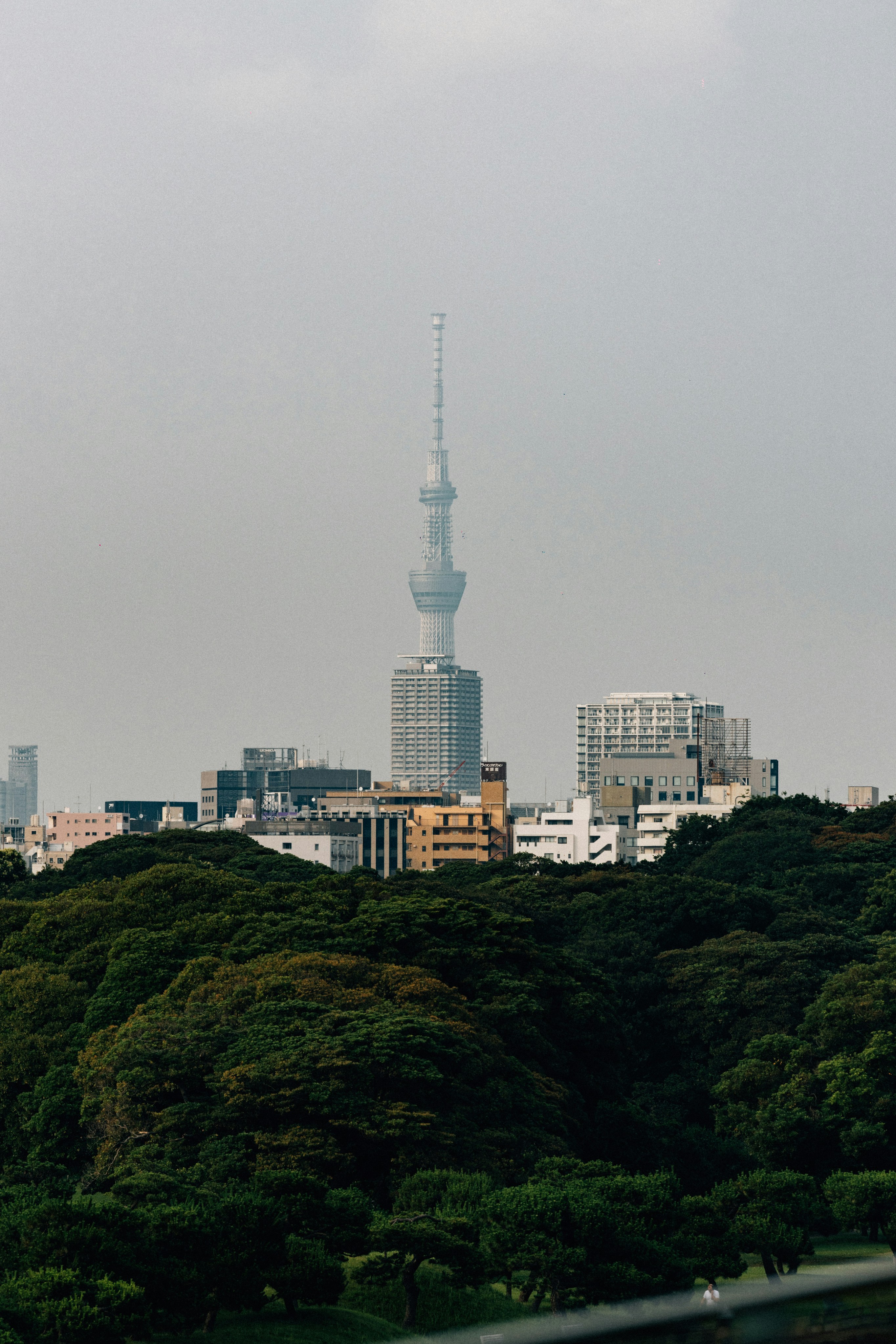 Photo by tsuyoshikozu