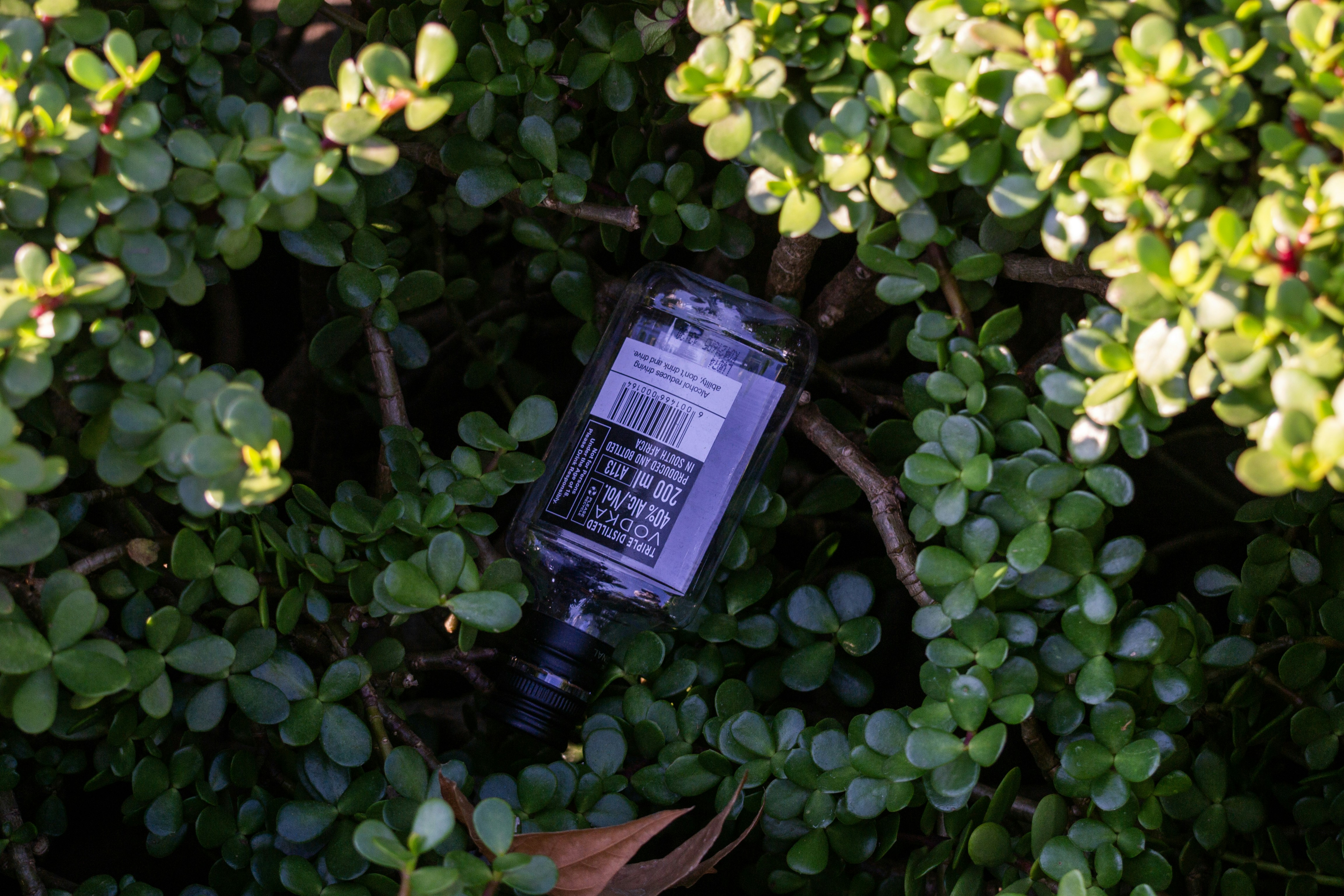 A plastic bottle lies discarded among green foliage.