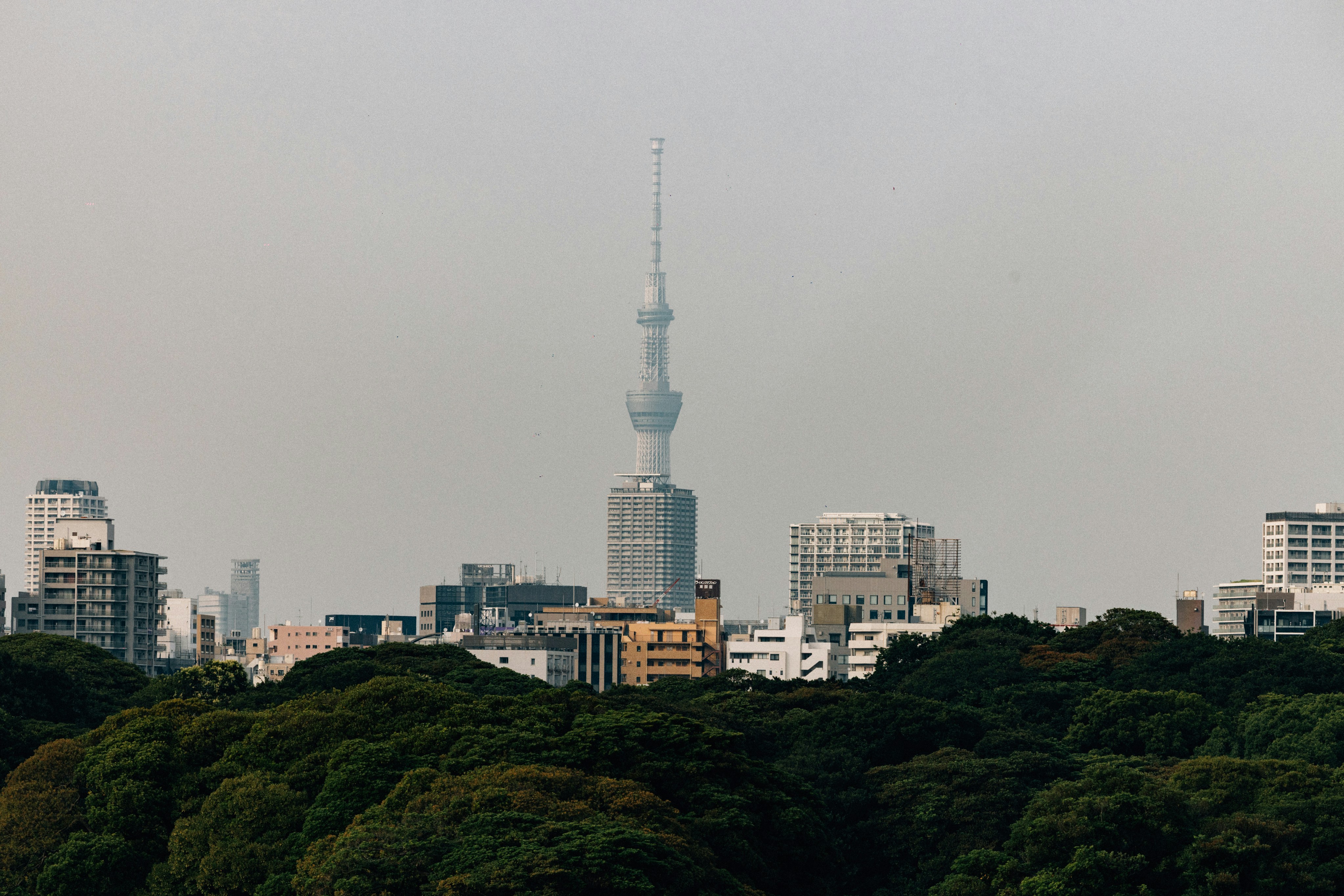 Tokyo Skytree Viewpoint photo 3
