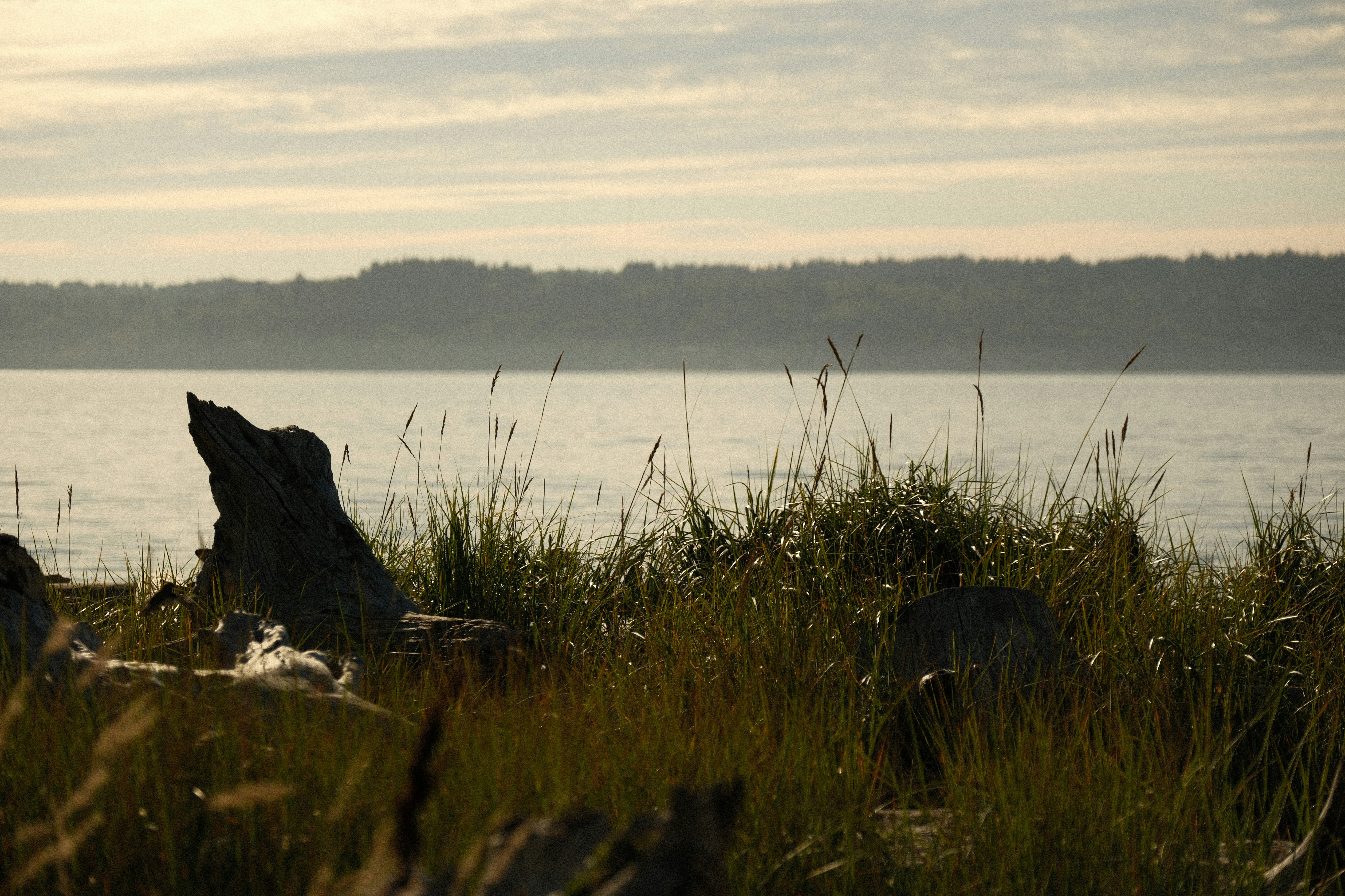 Calm lake with grassy shore and distant hills