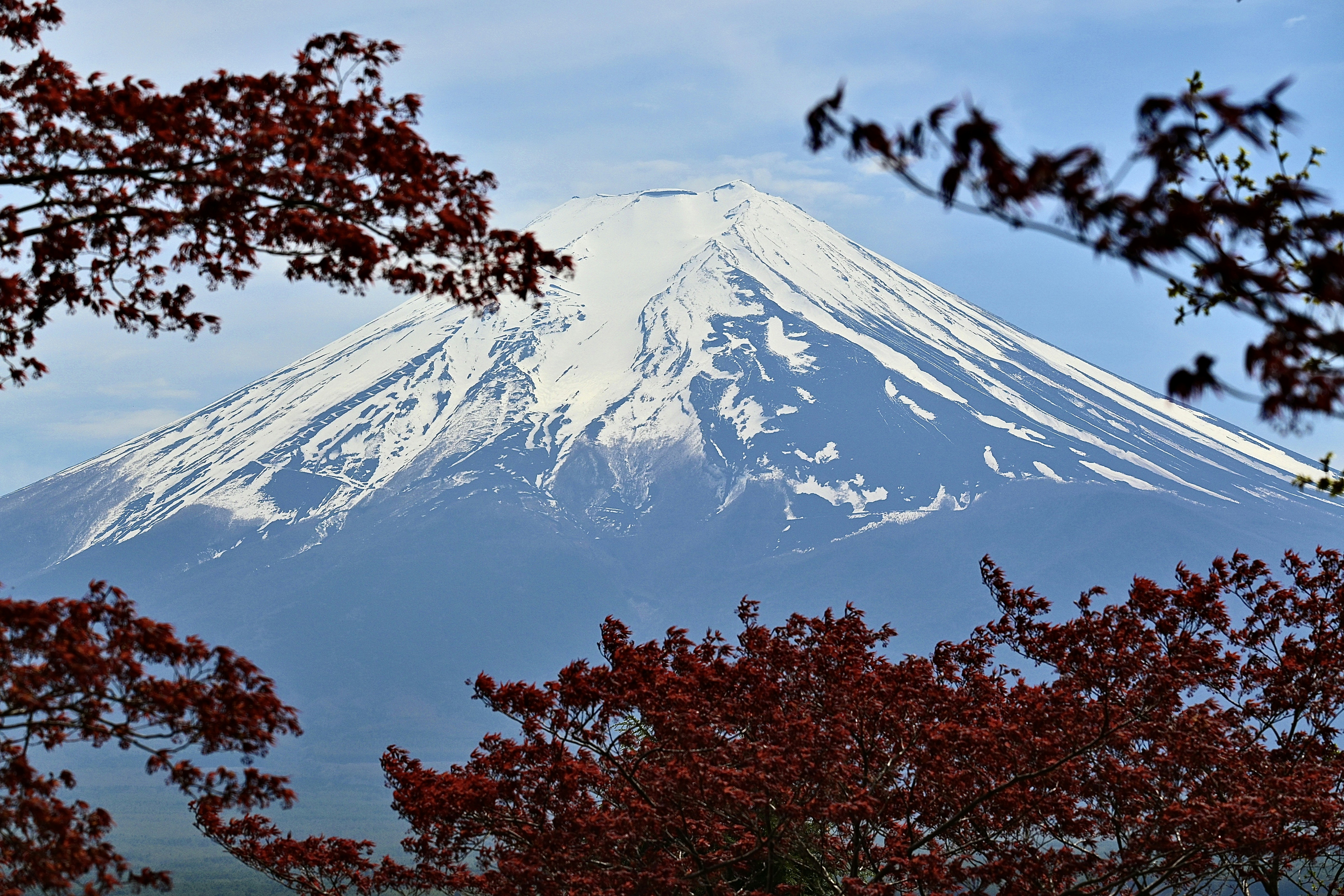 Photo by elroy_from_021