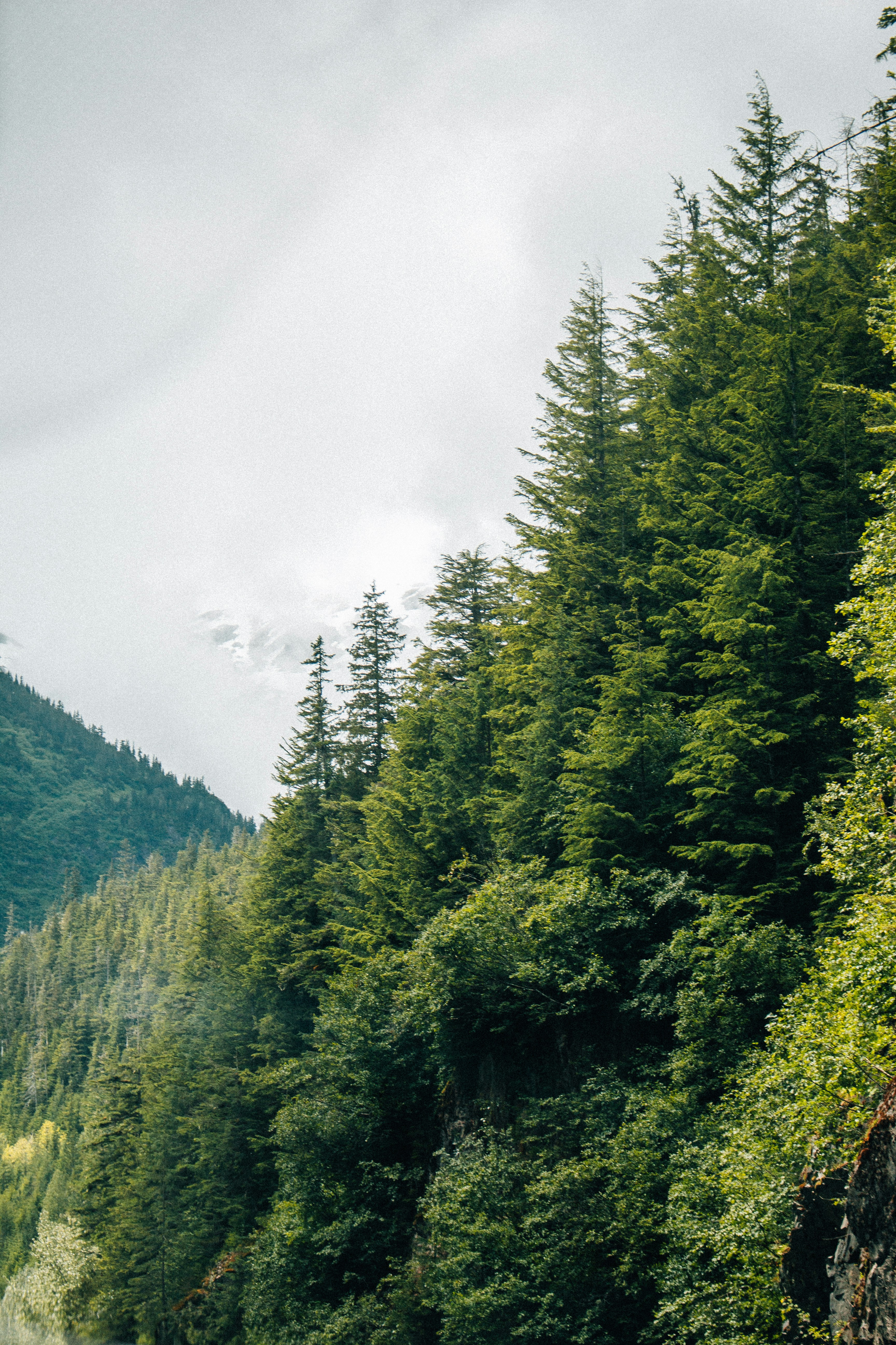 Photo by bendenengelsen