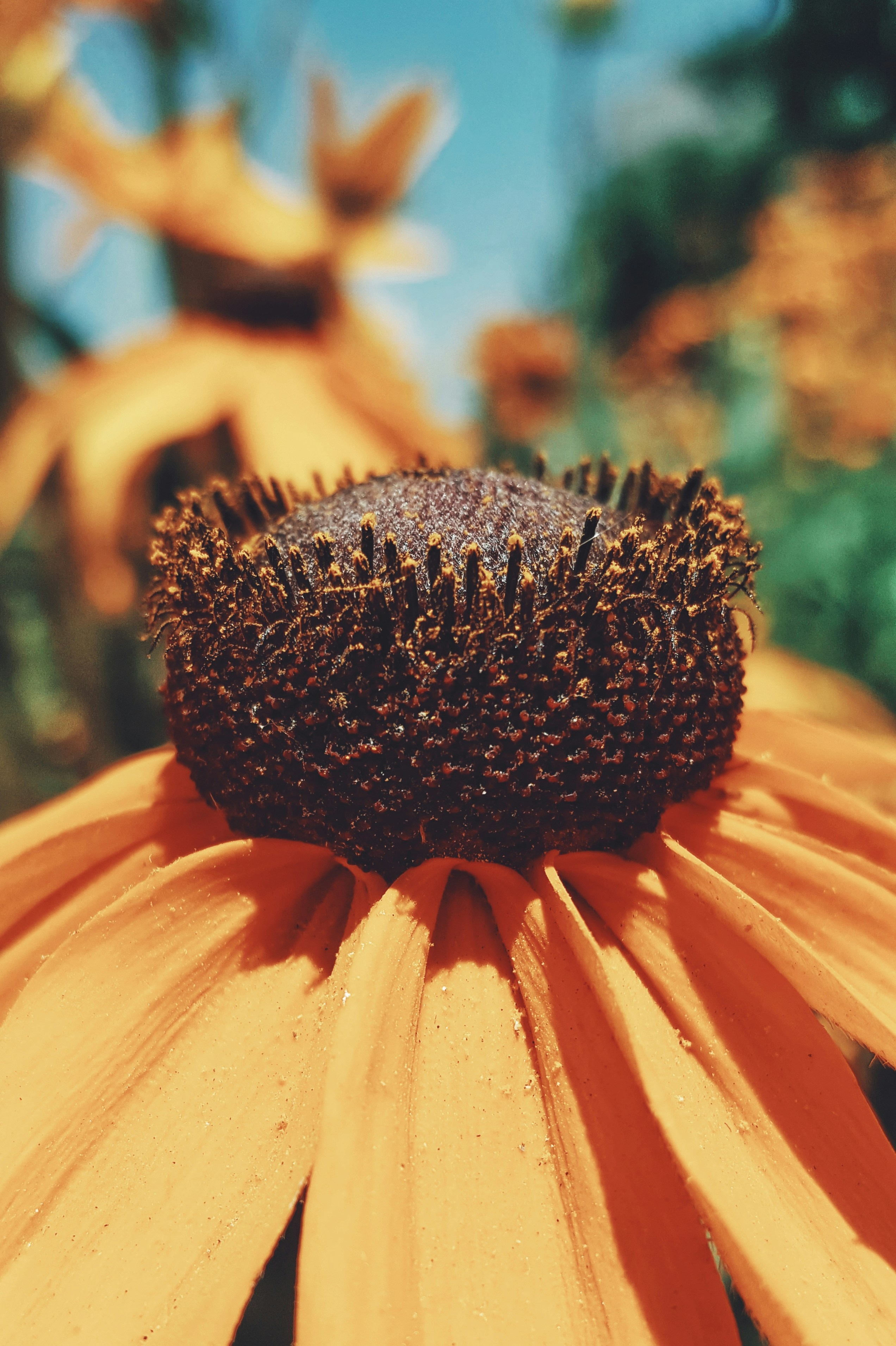 Photo by hasanalmasi