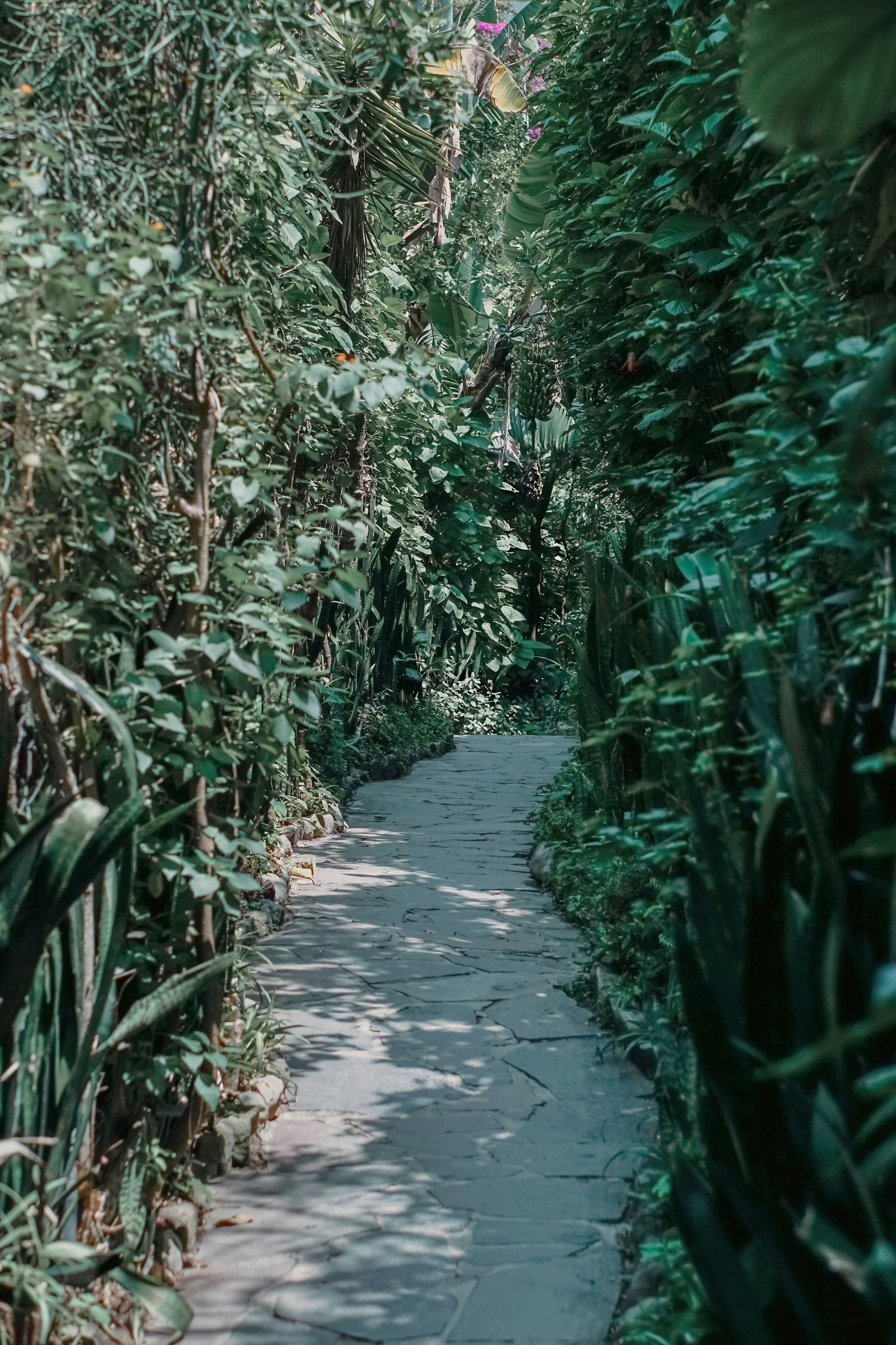 Photo by denisaguilar_