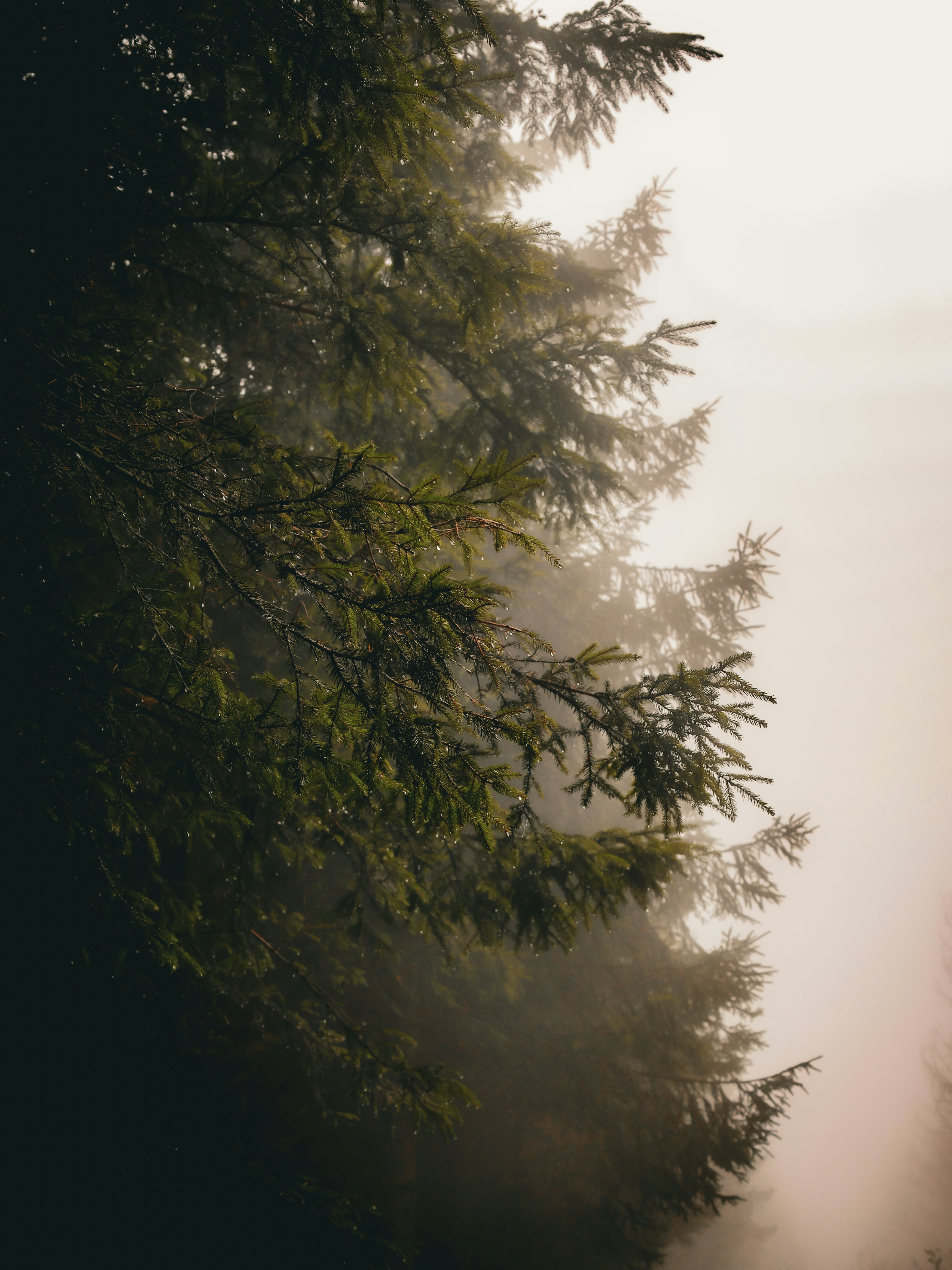 Photo by stefaniejockschat